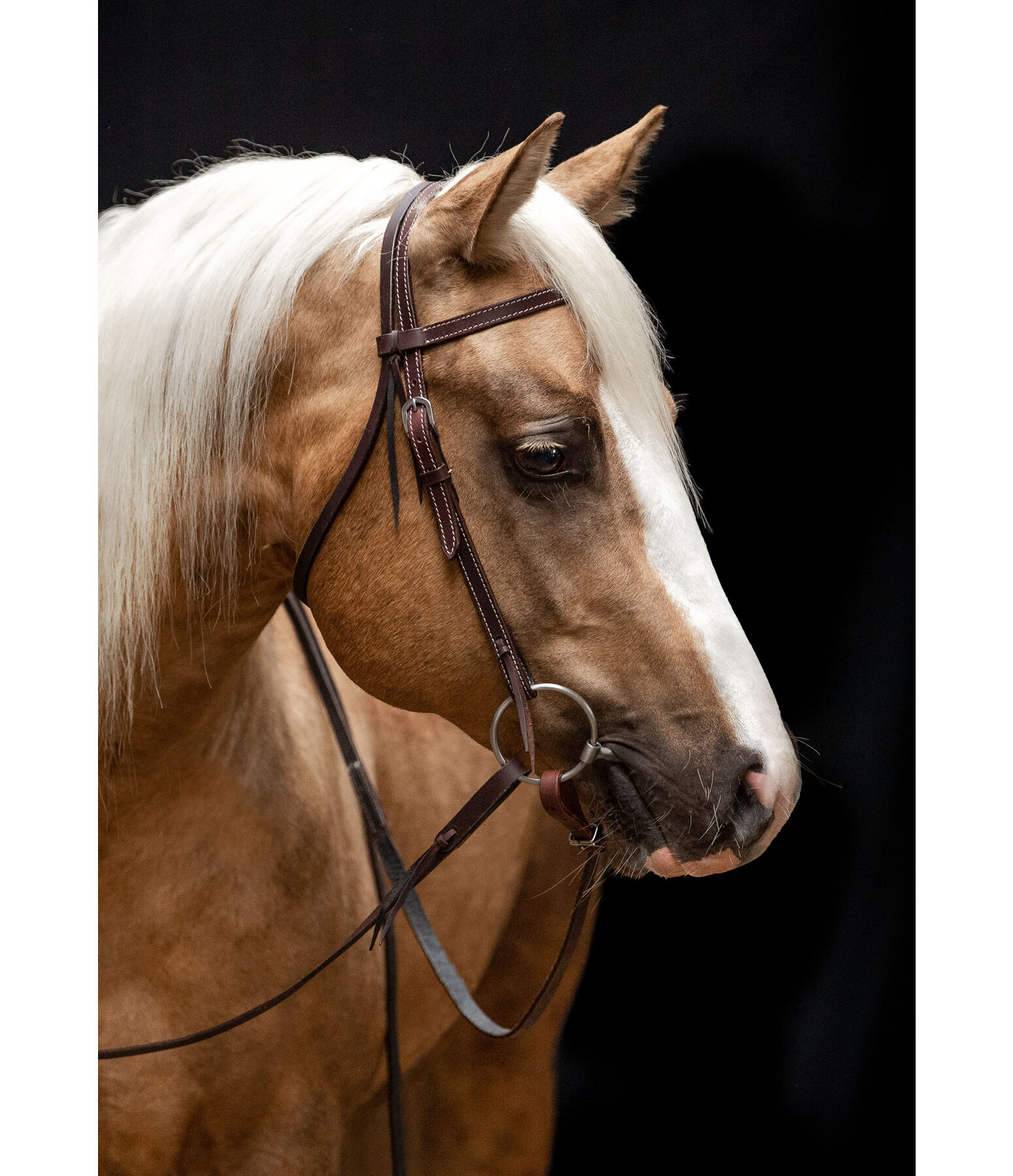 Western Headstall Basic