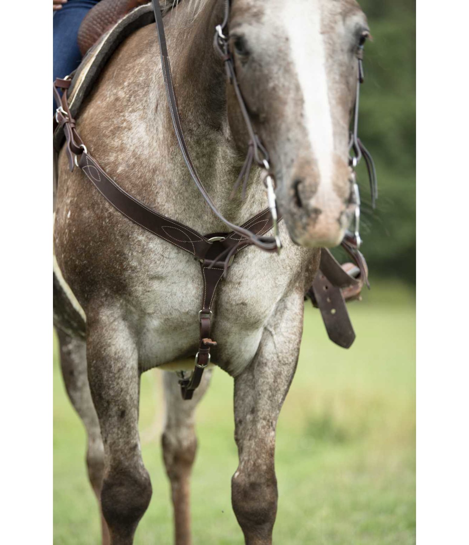 Western Breastplate Basic Western Riding Kramer Equestrian