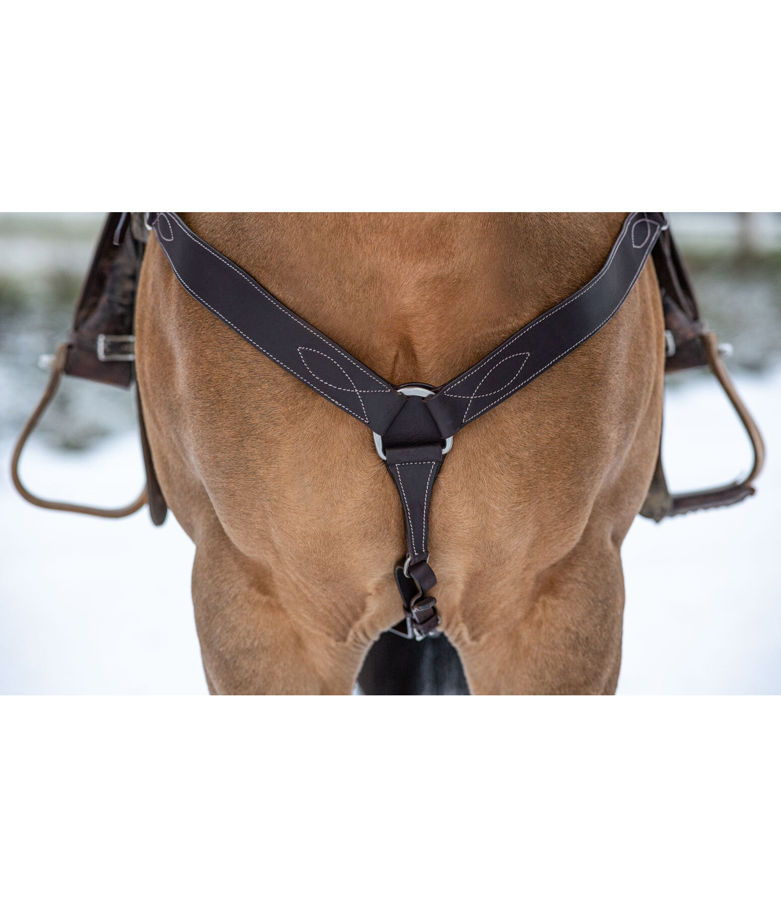 Western Breastplate Basic