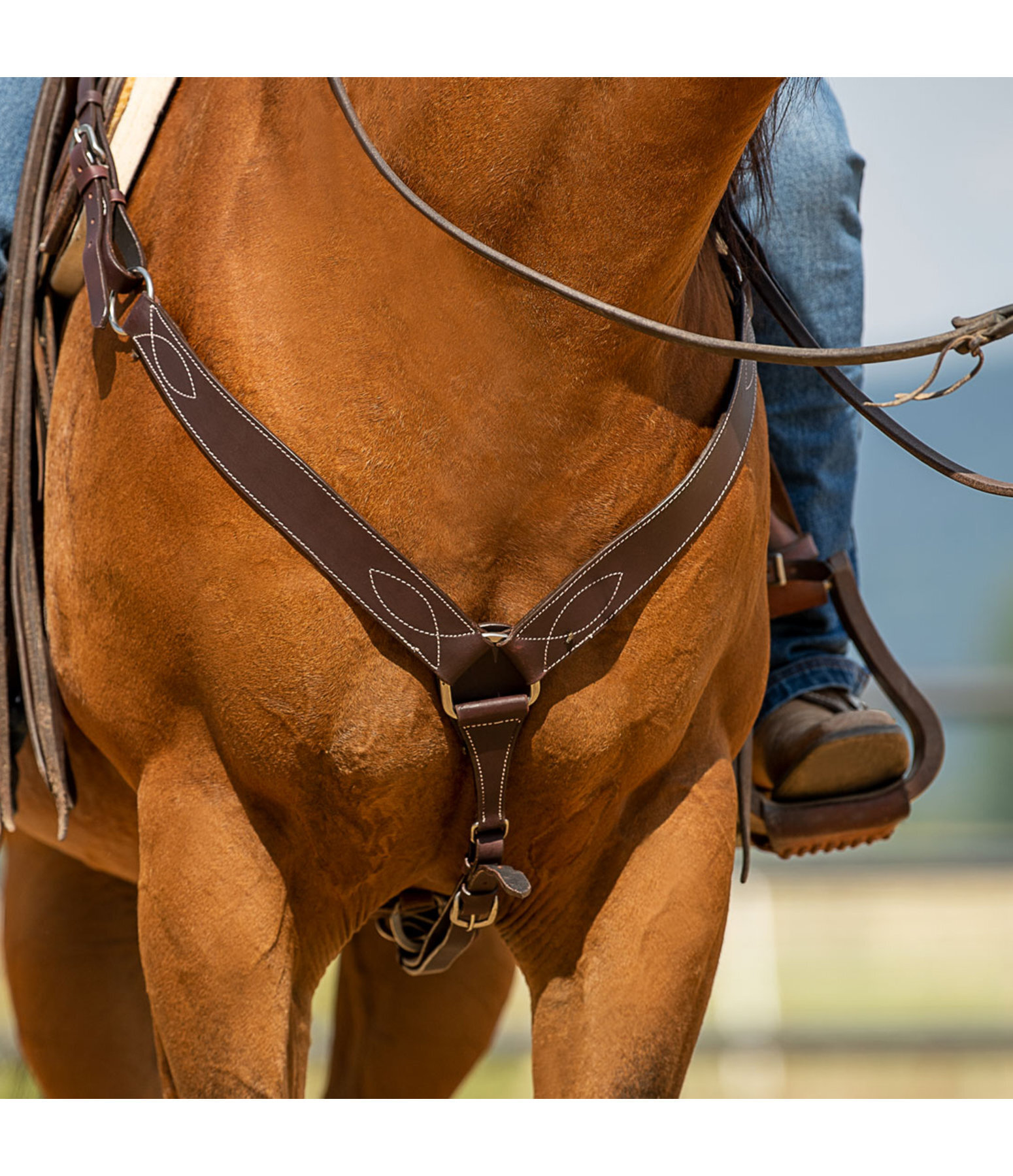 Western Breastplate Basic