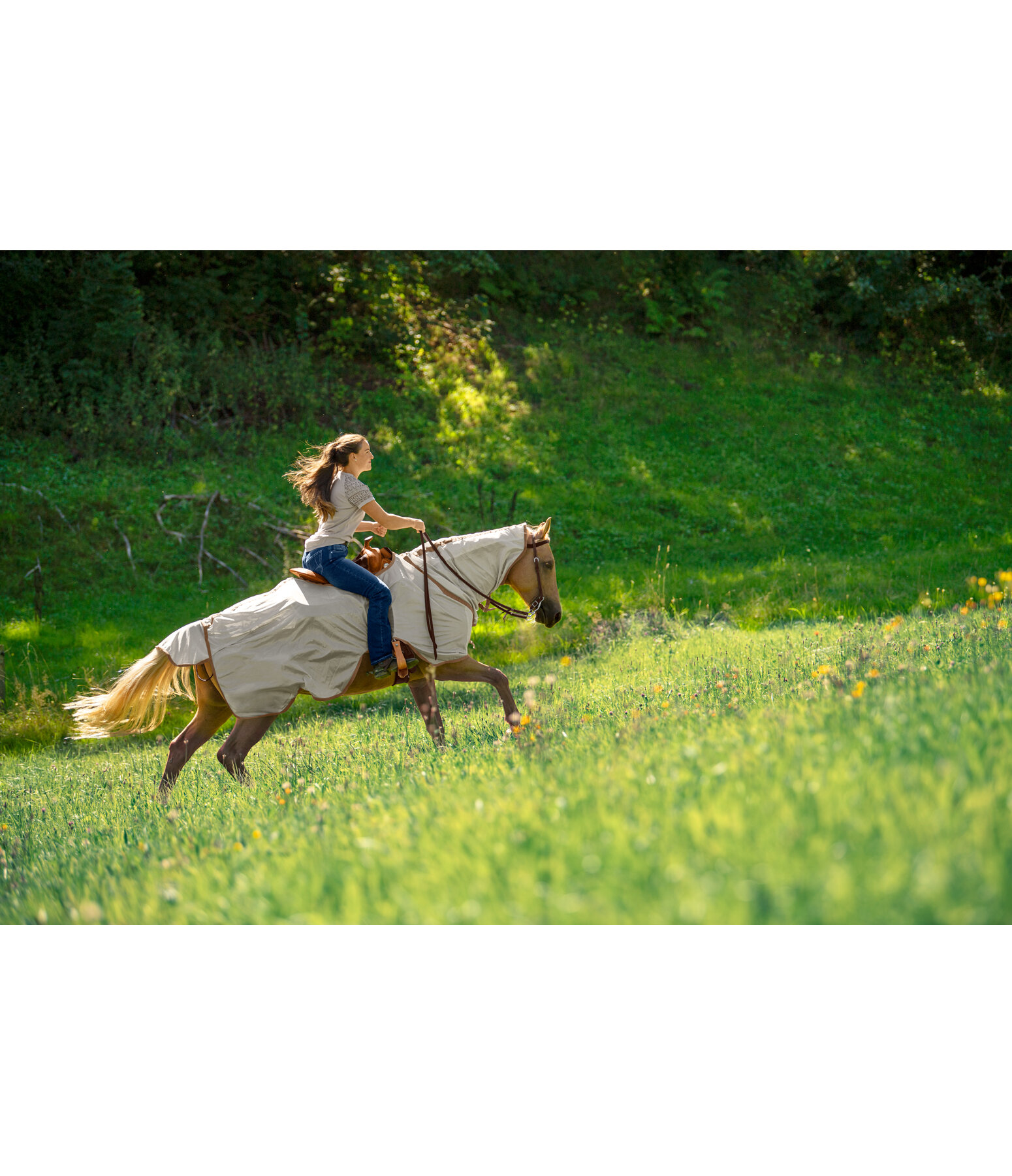 Exercise Fly Rug With Rollable Neck Piece