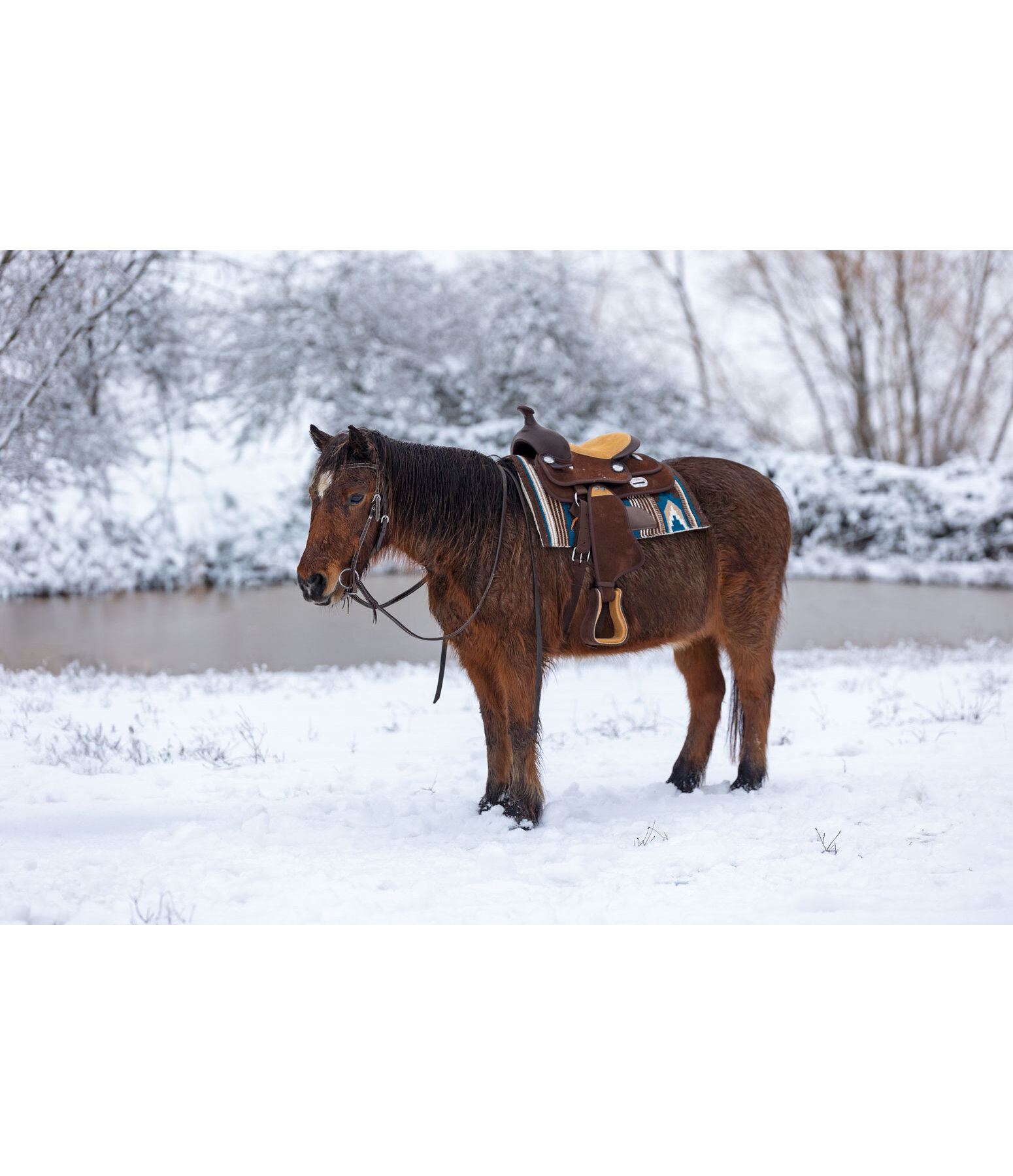 Pony Western Saddle