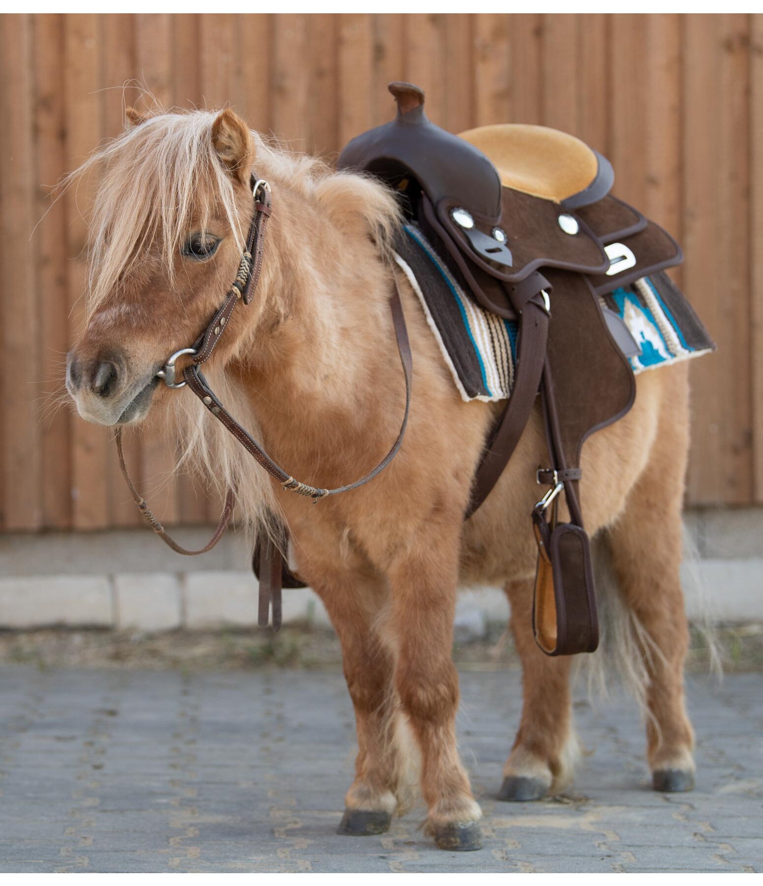 Pony Western Saddle