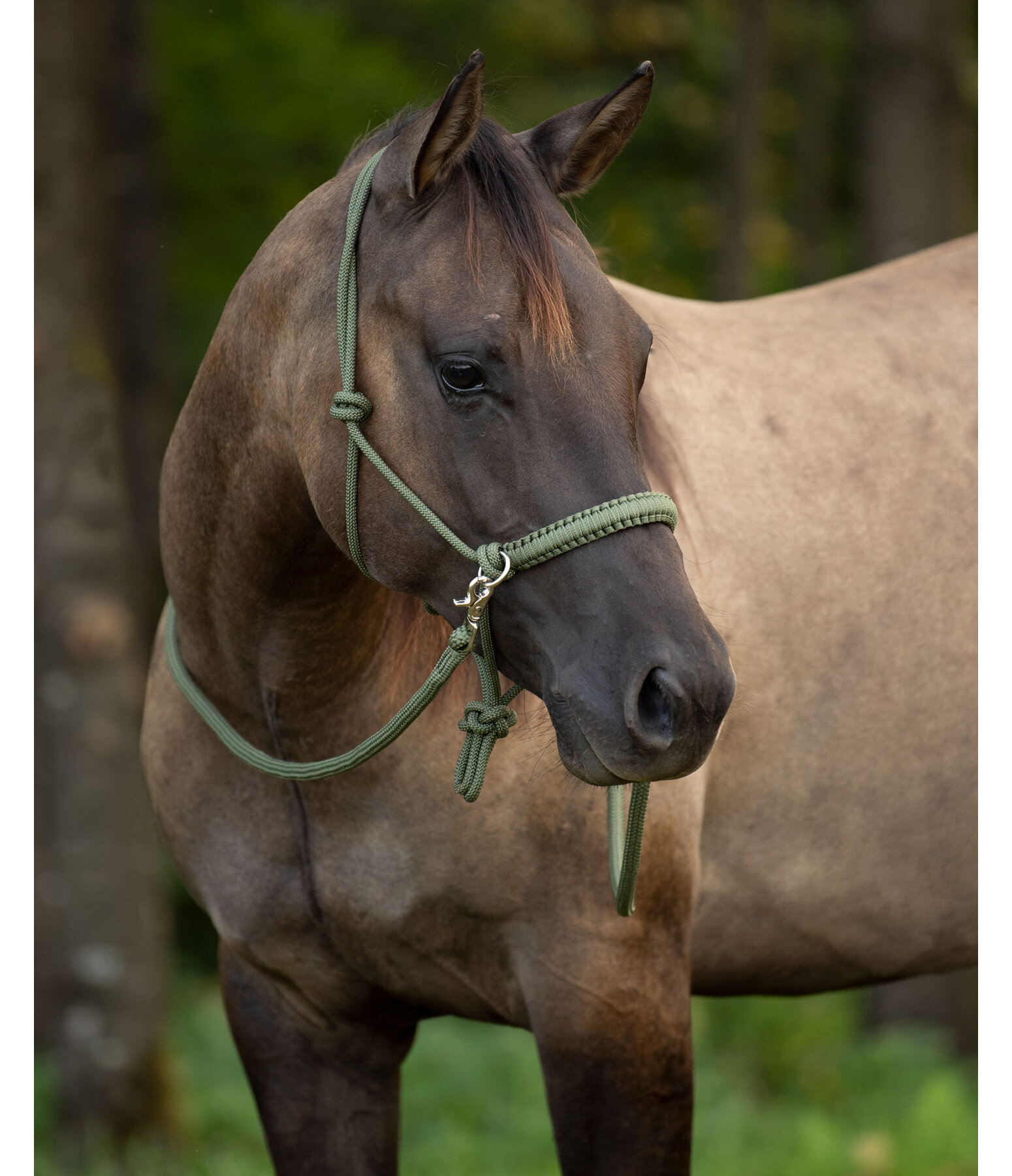 Rope Halter Set All-in-One