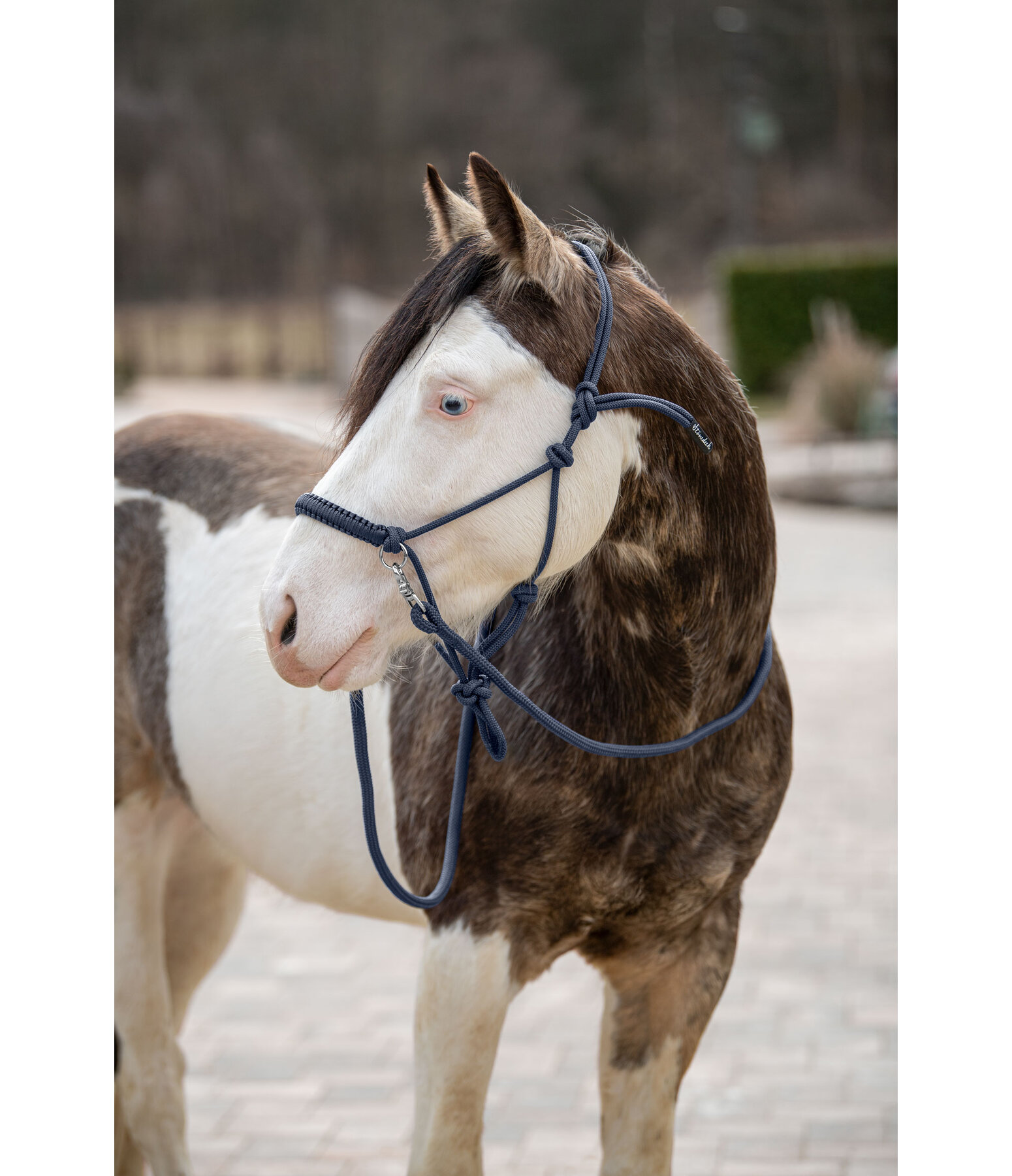 Rope Halter Set All-in-One