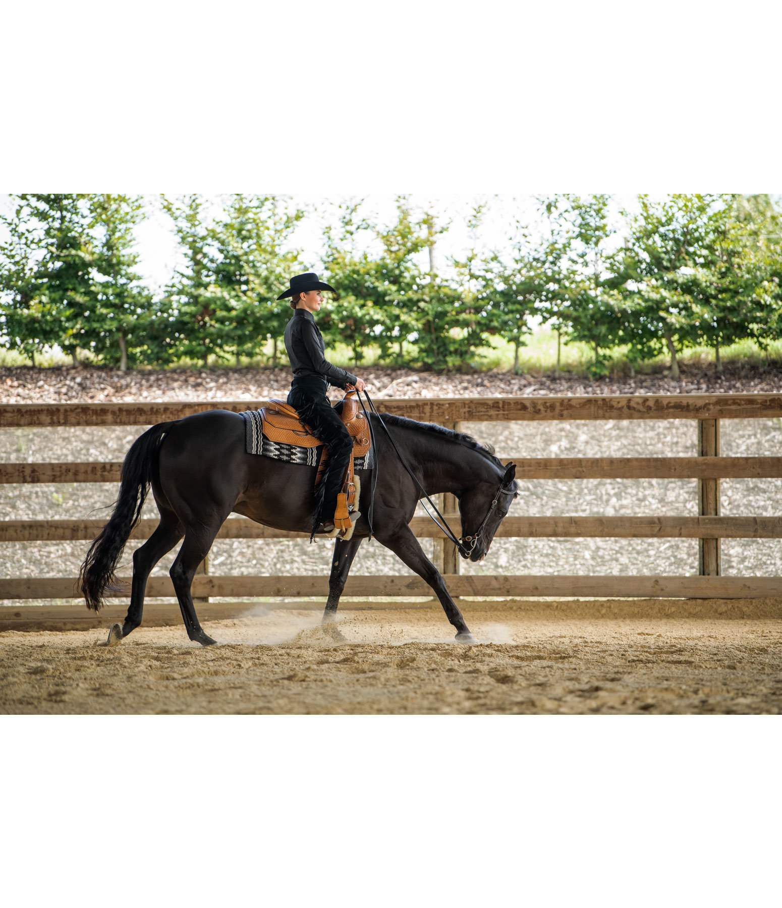 Show Chaps Western Riding Full Chaps Kramer Equestrian