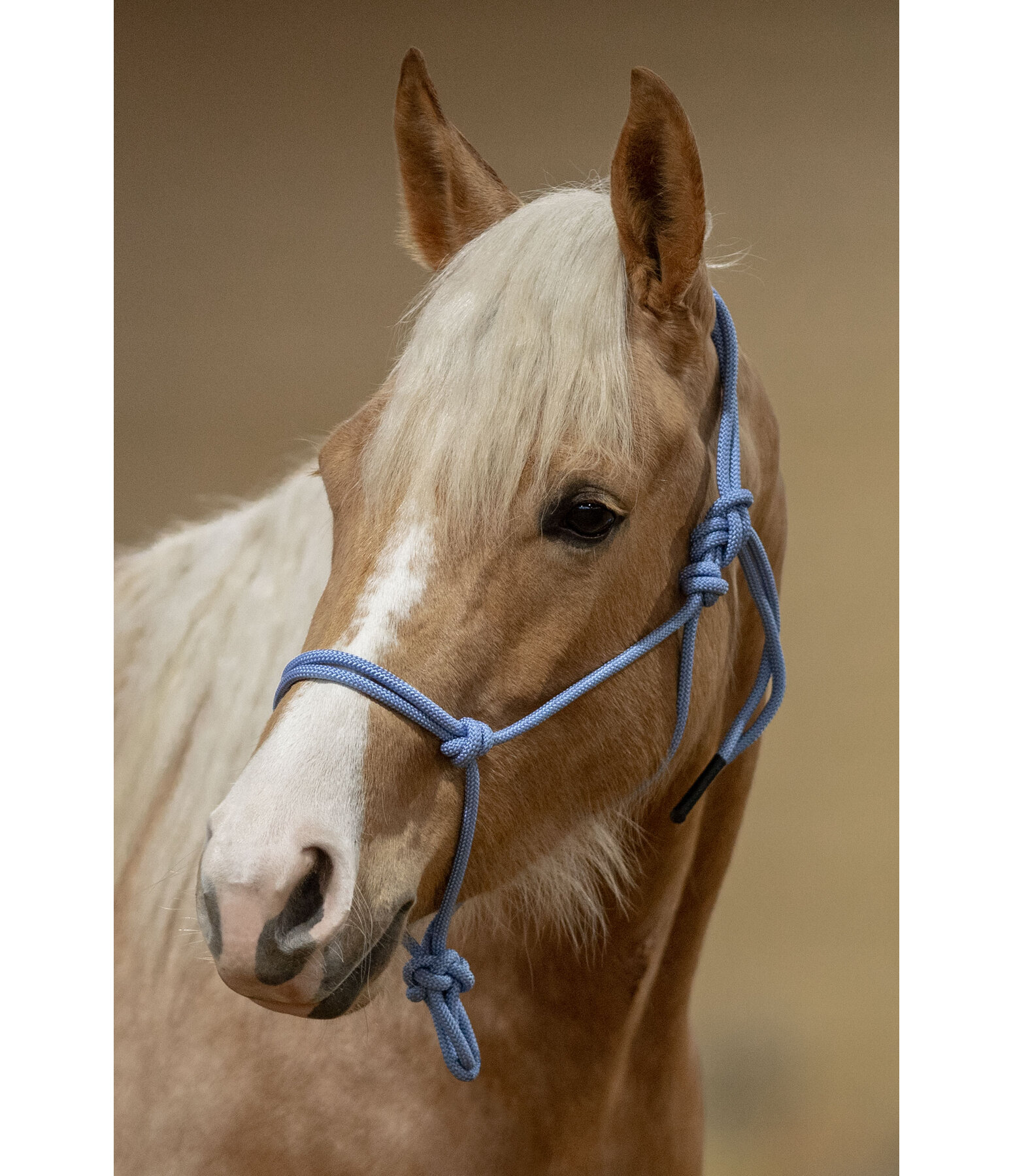 Rope Halter Bo