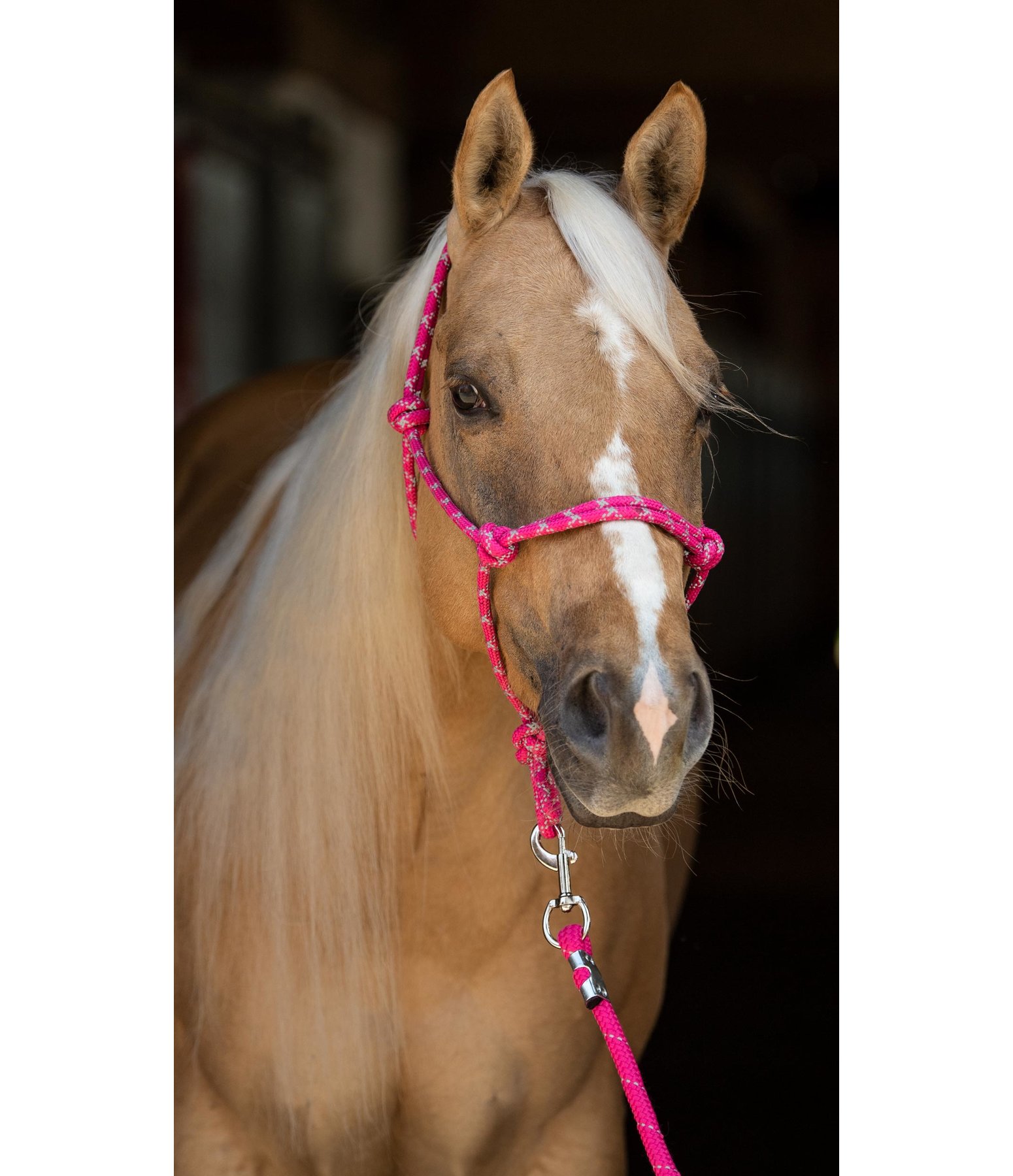 Reflective Rope Halter Set Western Horse Headcollars & Lead Ropes