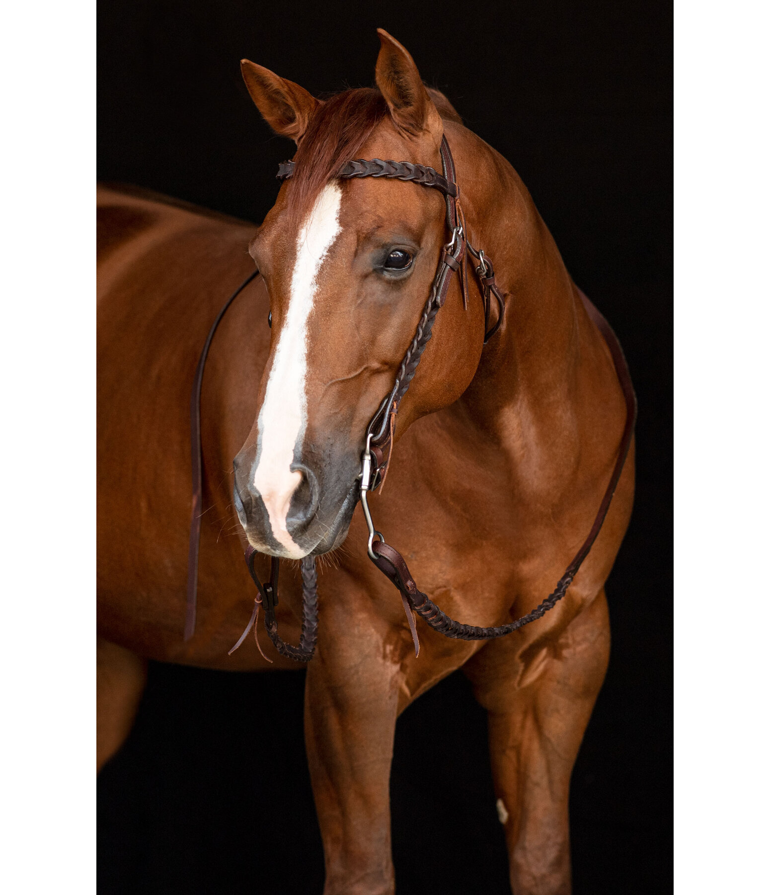 Western Headstall Wilco