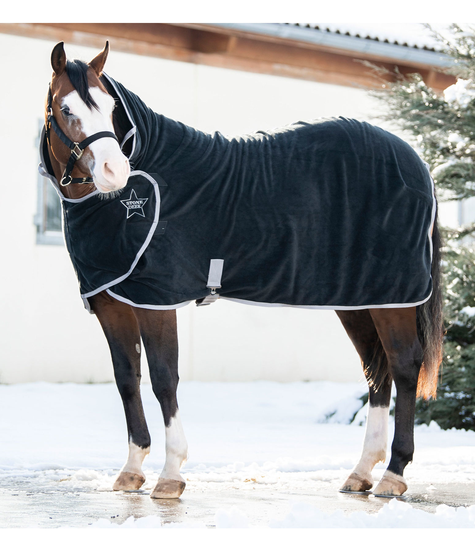 Wicking Rug Stella