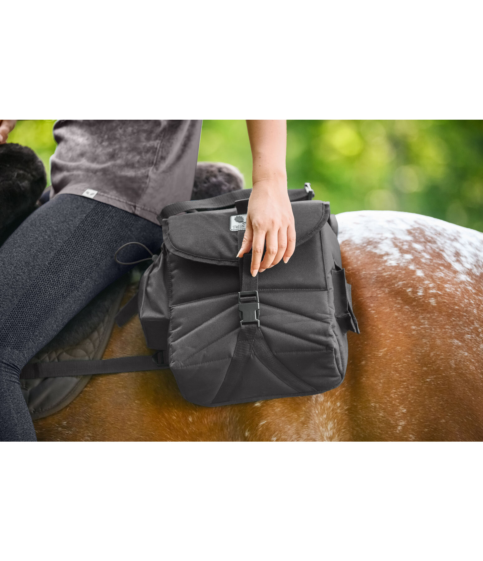 Double Saddle Bags Death Valley