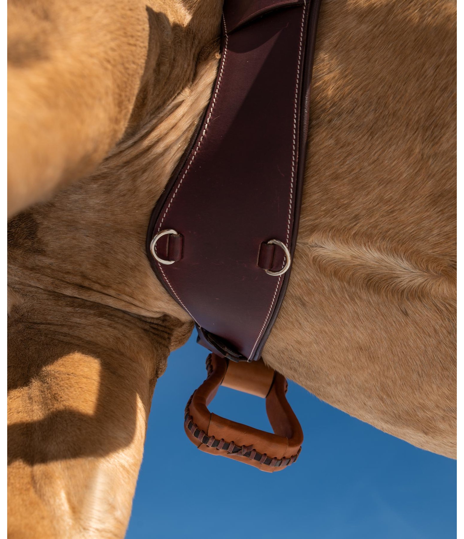 Leather Girth Anatomica Western Girths Kramer Equestrian