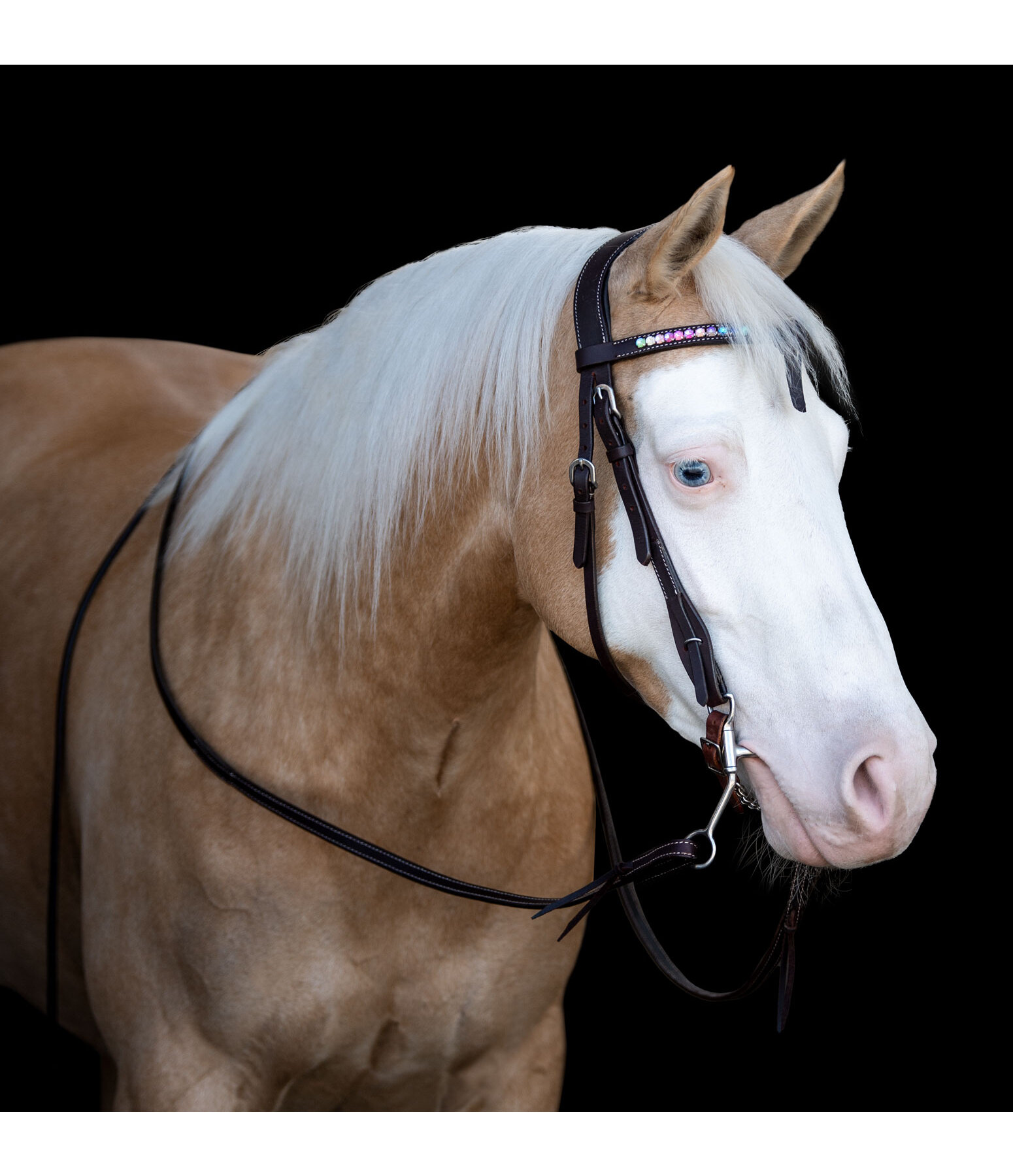 Mix & Match Futurity Knot Browband Crystal