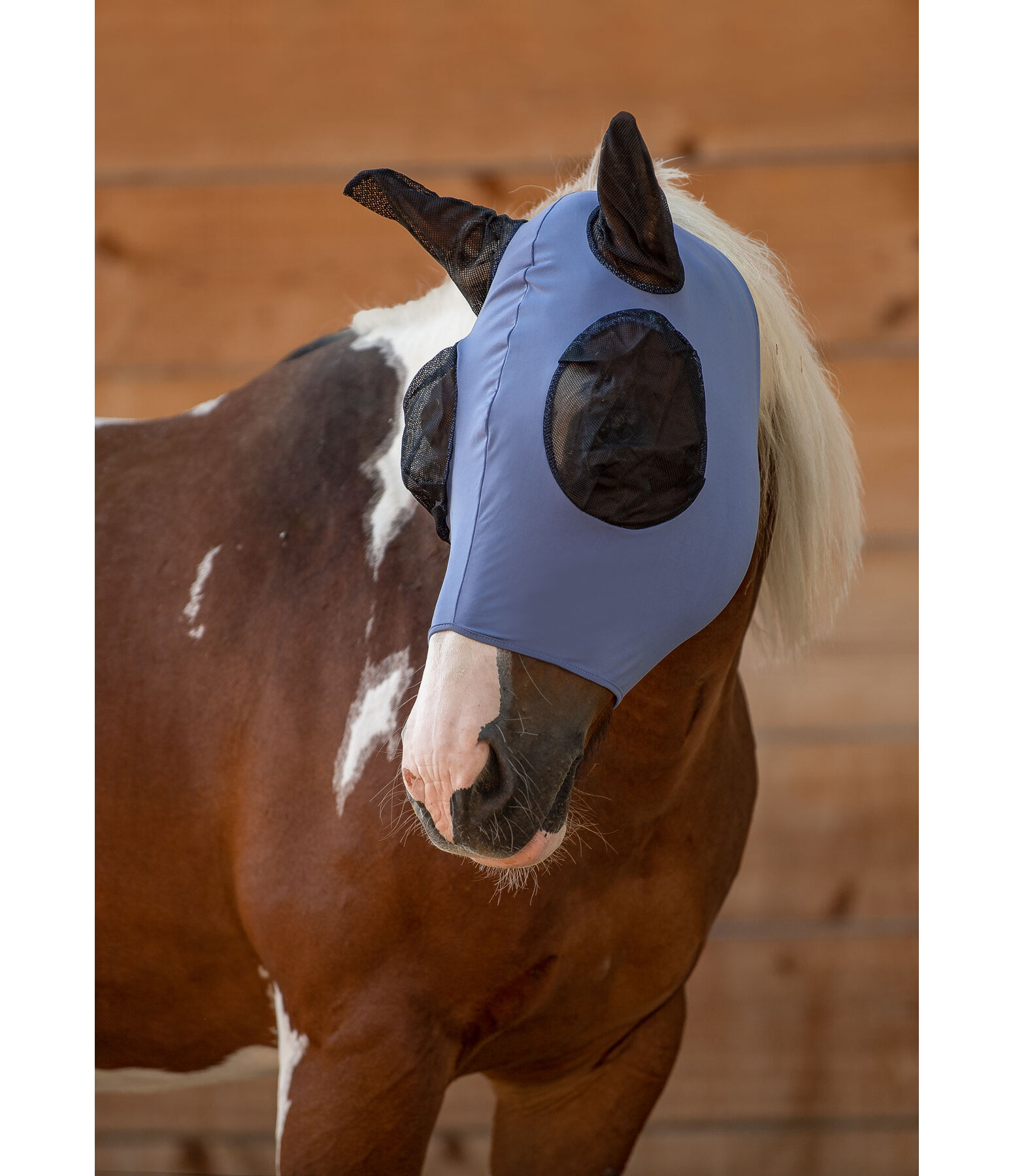 Fly Mask Elastic