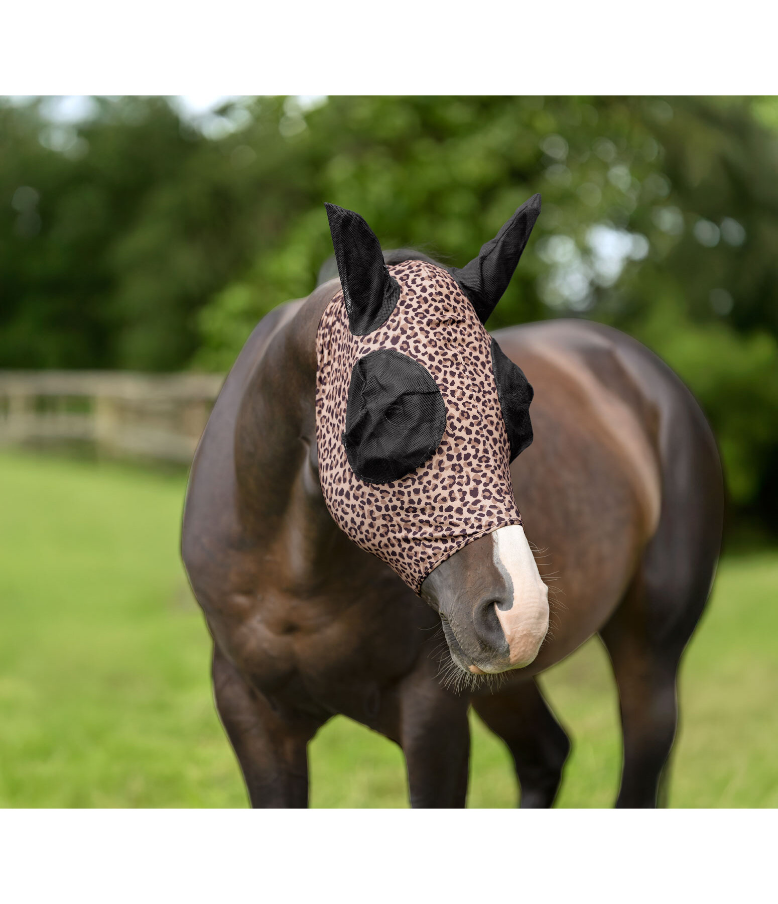 Fly Mask Elastic