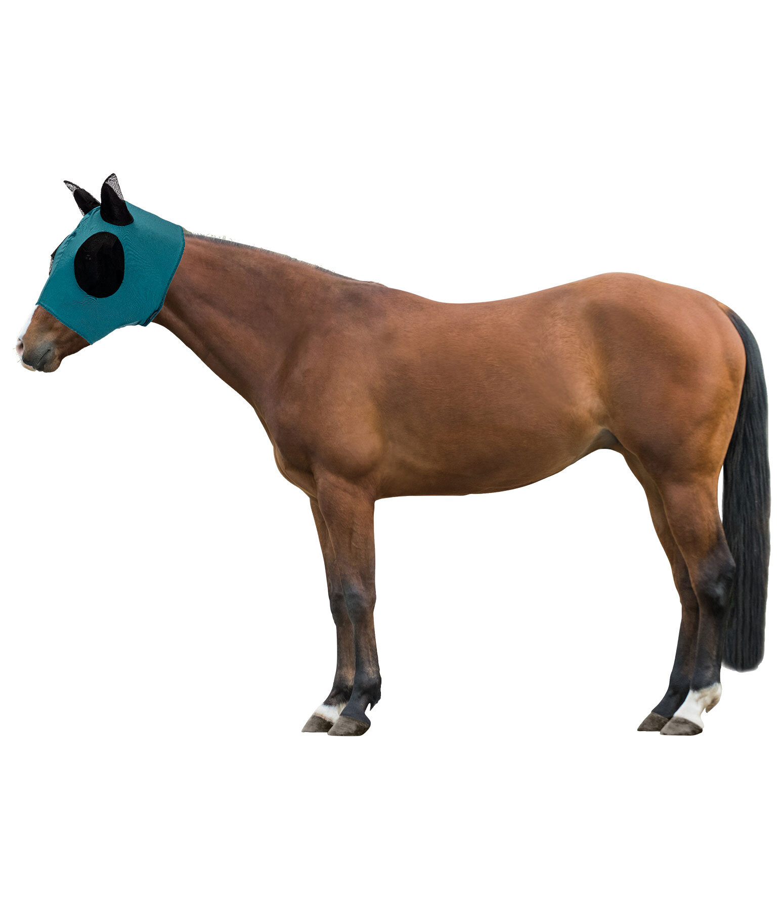 Fly Mask Elastic