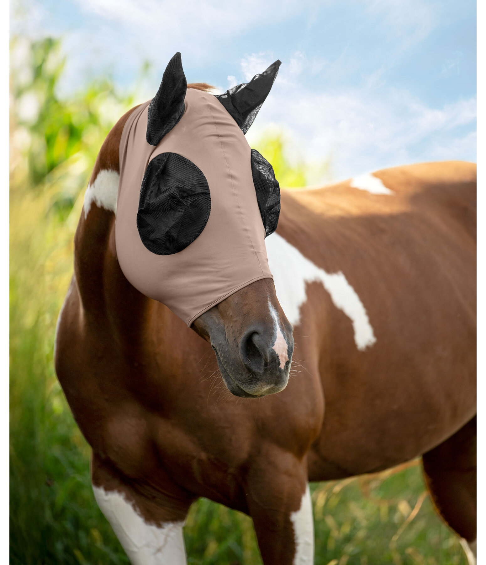 Fly Mask Elastic