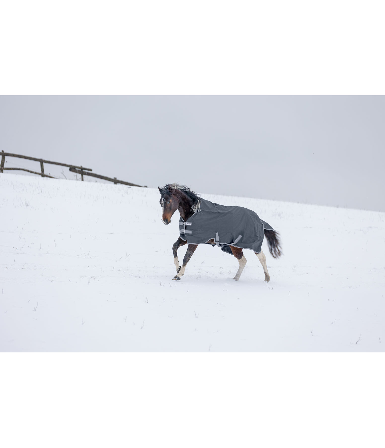 Lightweight Turnout Rug Forrest