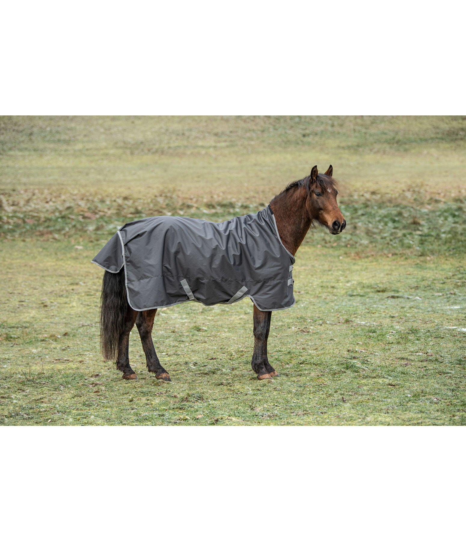 Lightweight Turnout Rug Forrest