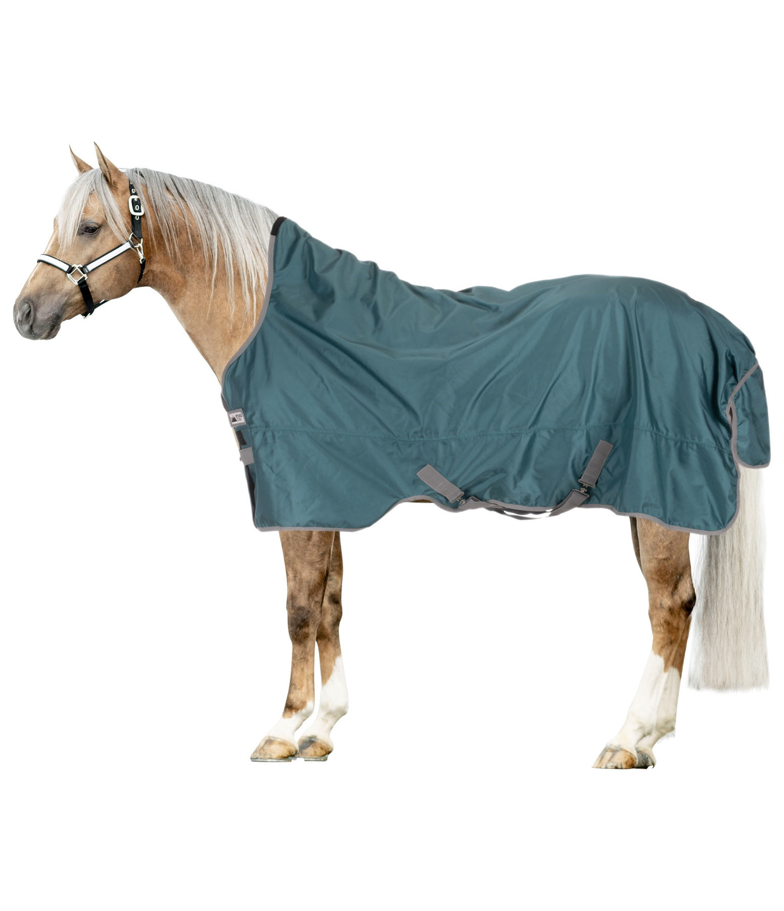 Lightweight Turnout Rug Forrest Kramer Equestrian