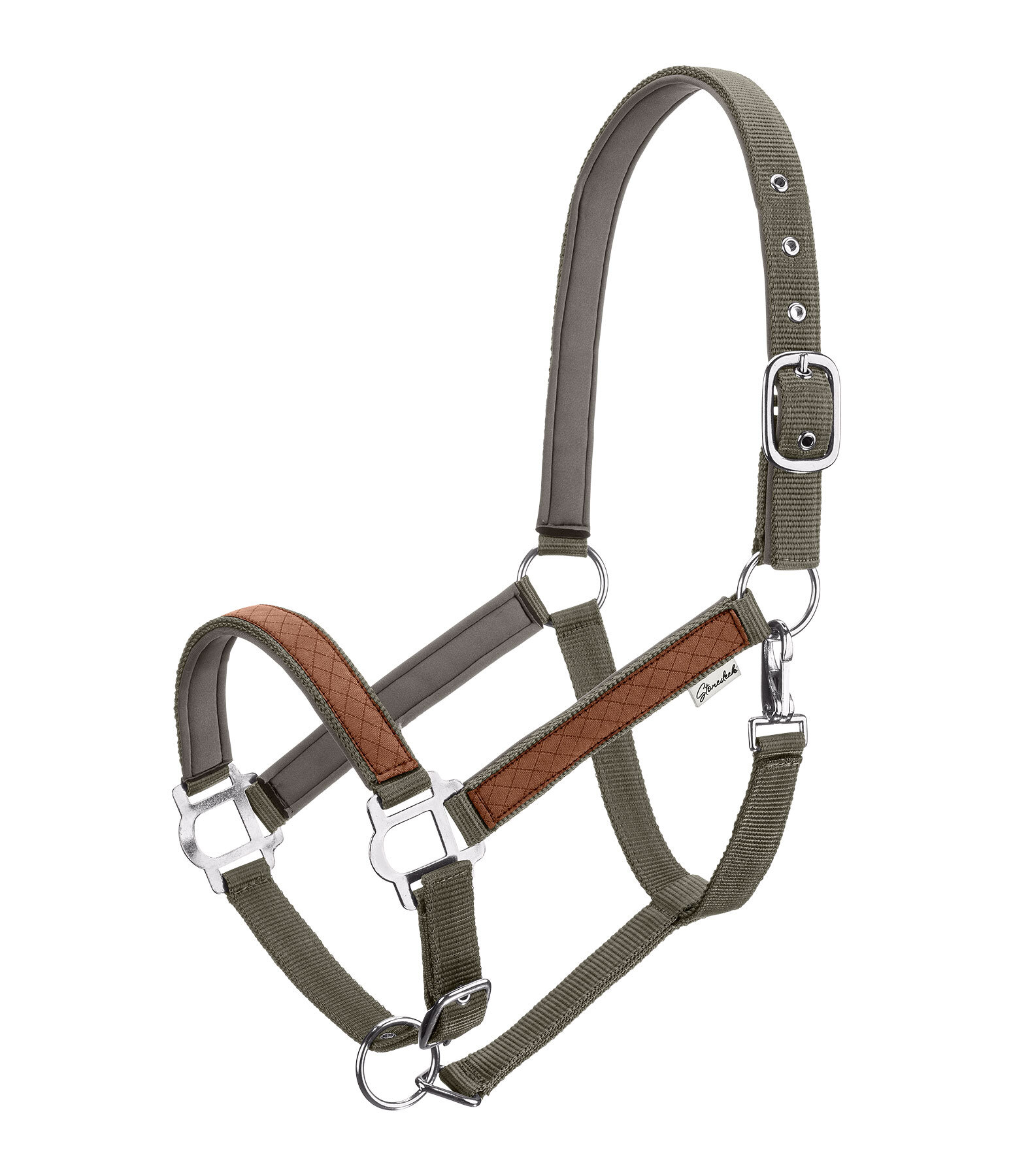 Halter Forster