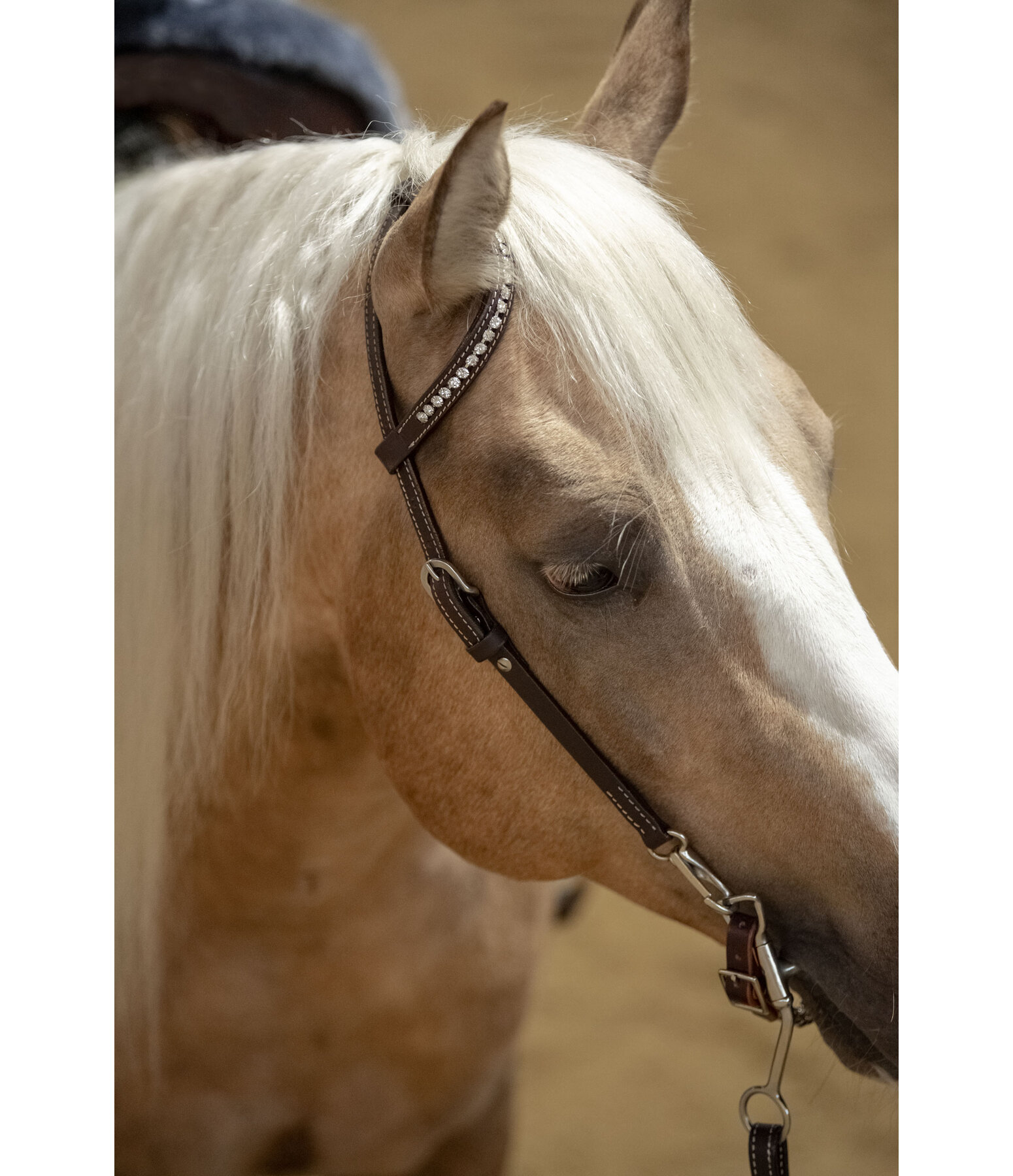 Mix & Match Futurity Knot Browband Pearls