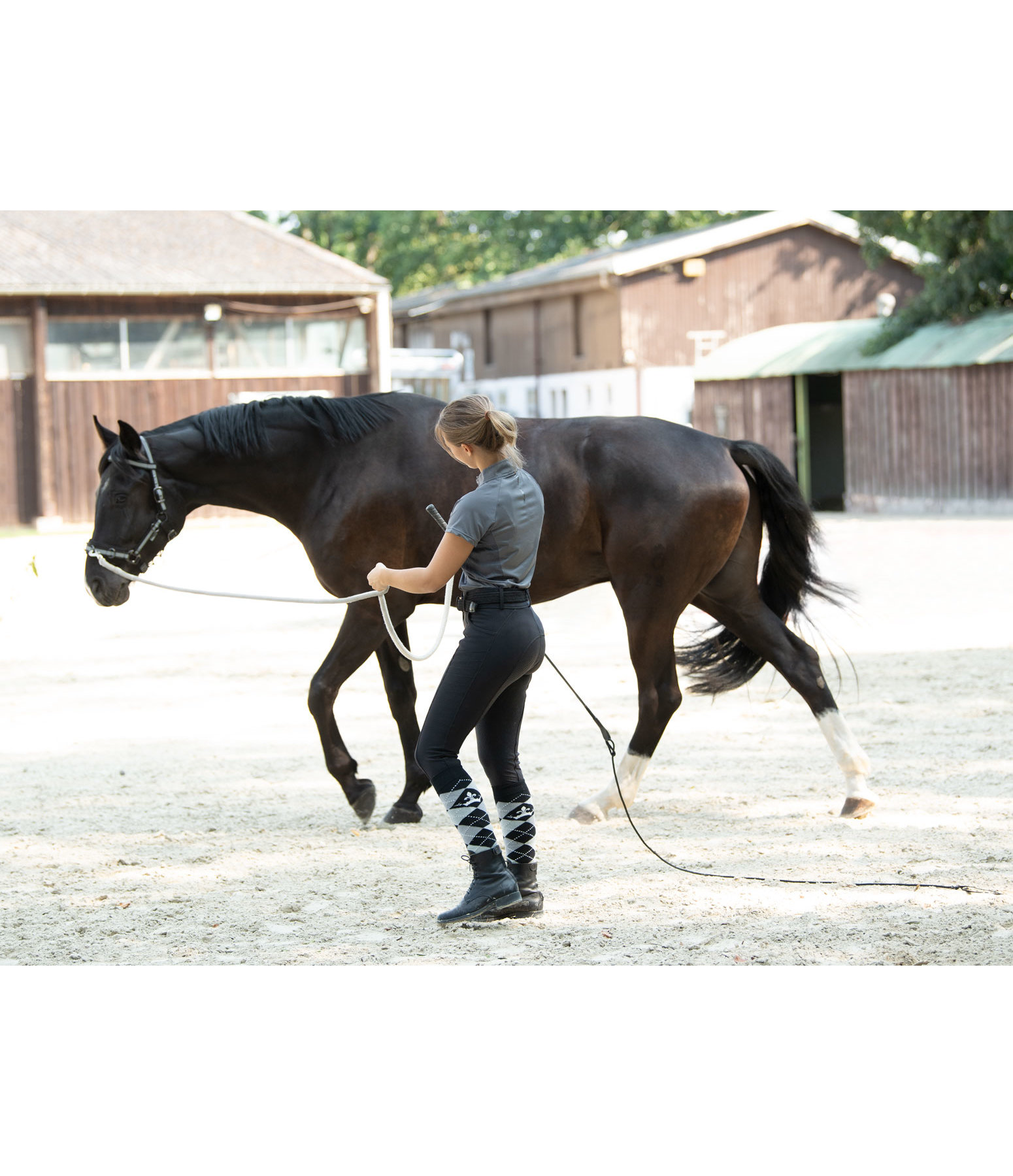 Multifunctional Bridle