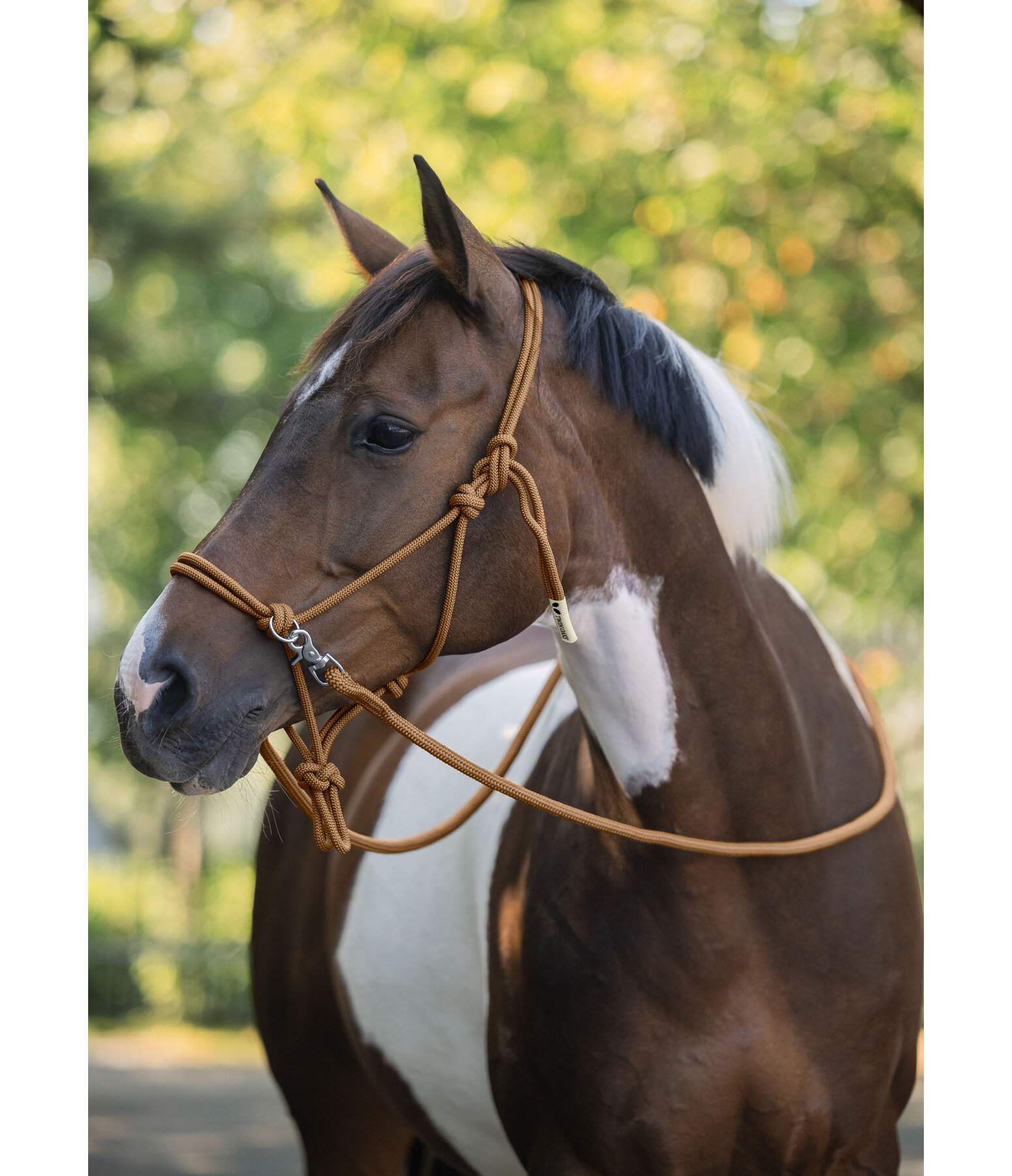 Rope Halter with Reins