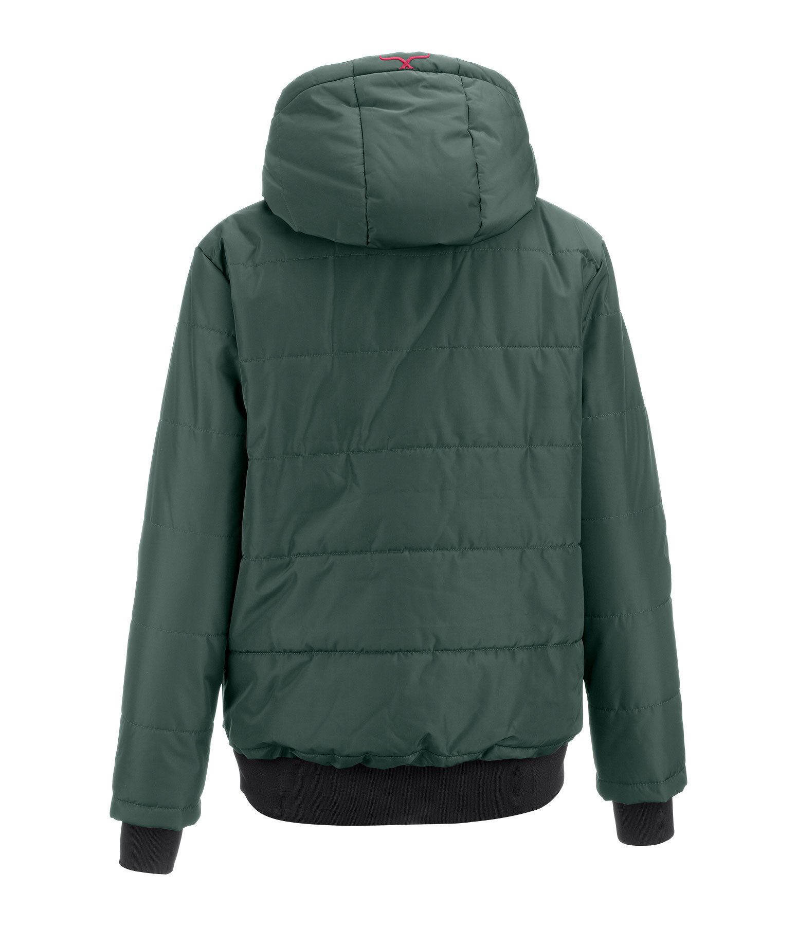 Winter Jacket