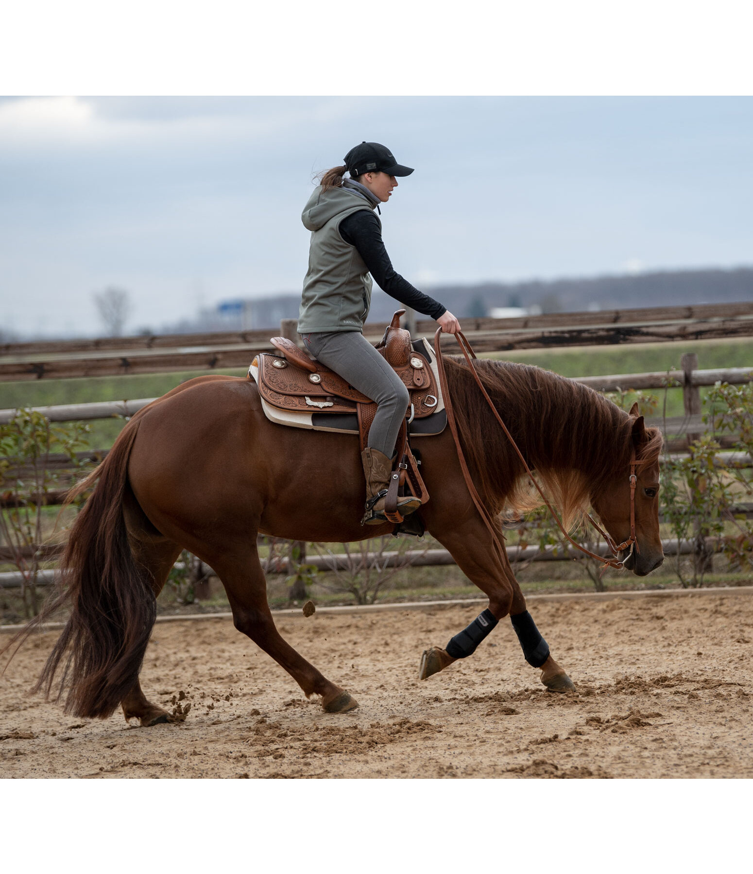 Quarter boots outlet horse