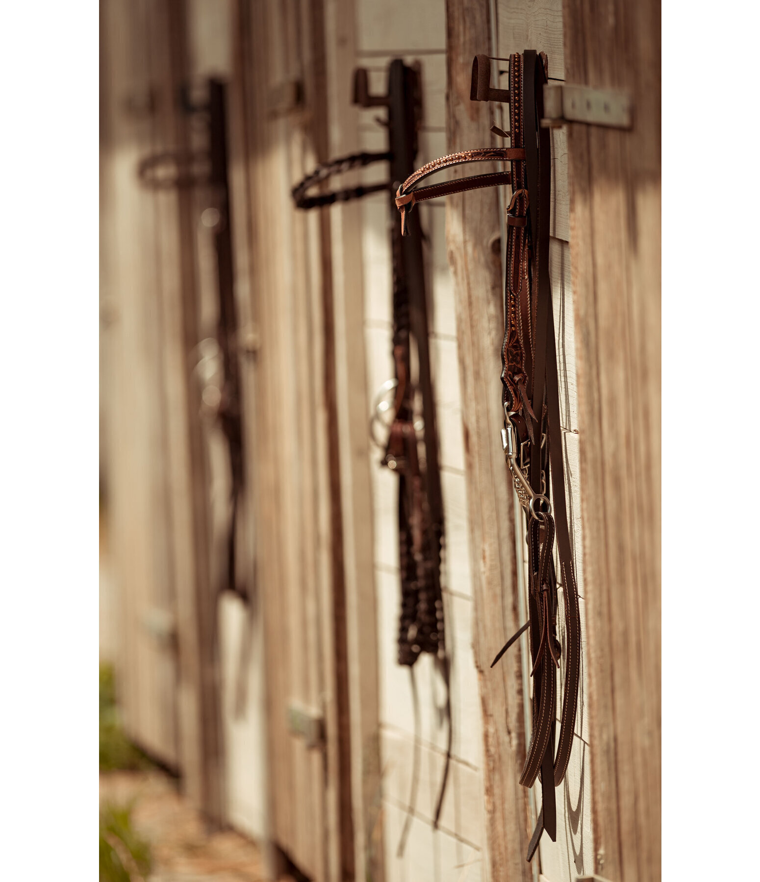 Western Headstall Tila