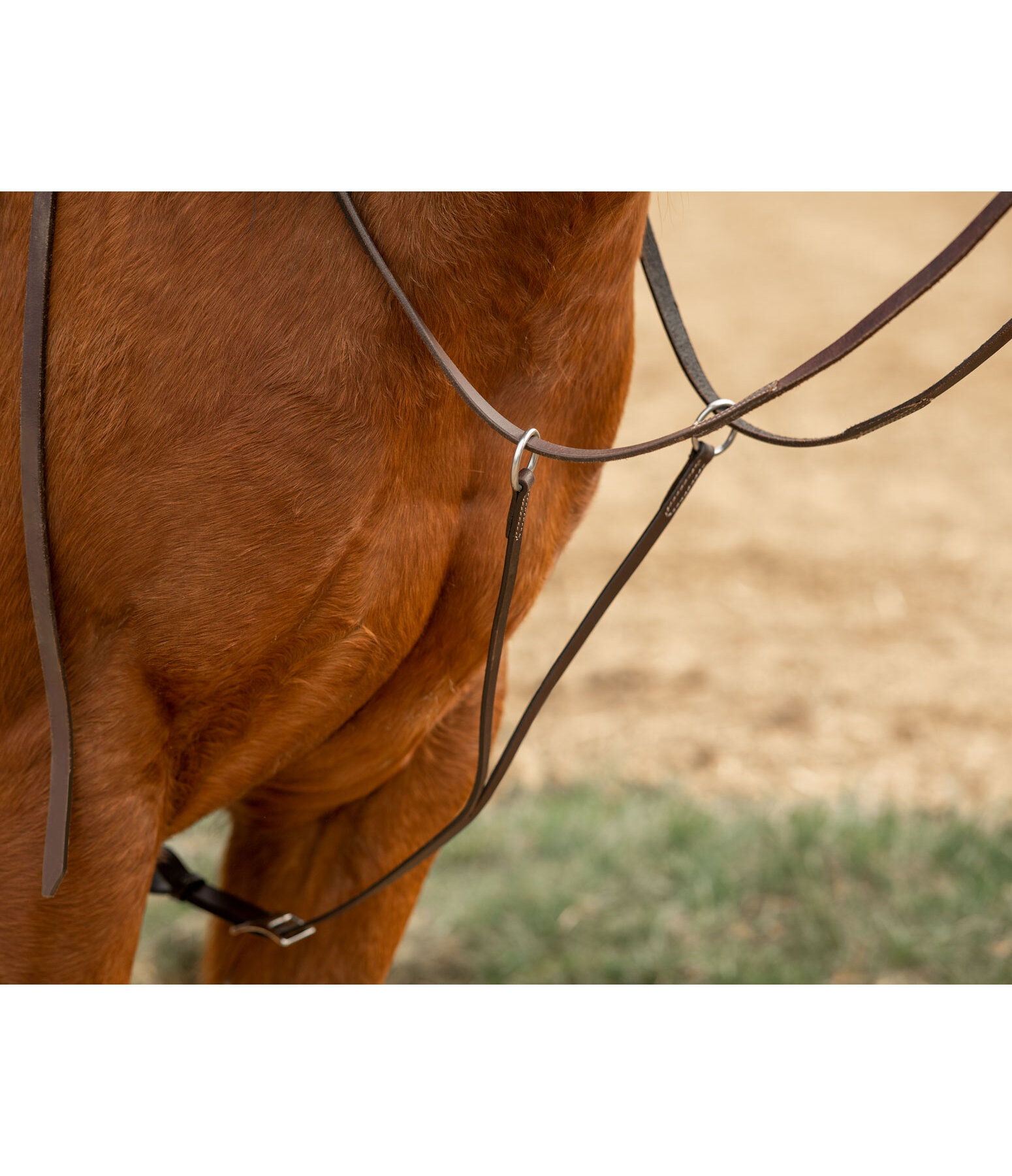 Western Training Fork Basic