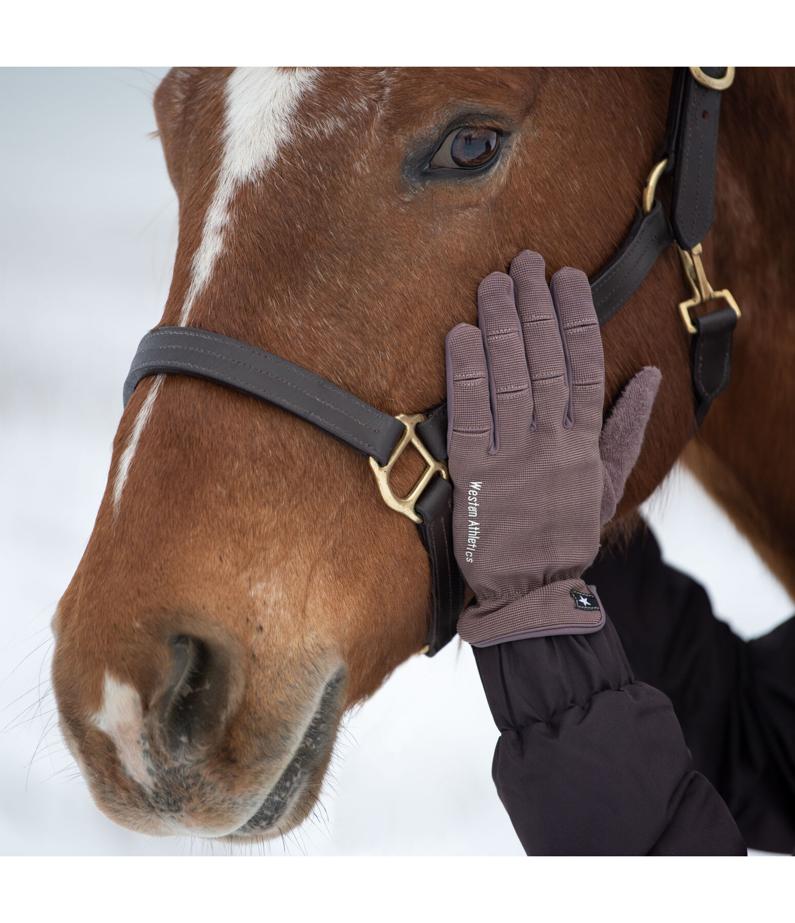 Winter Riding Gloves Omeo