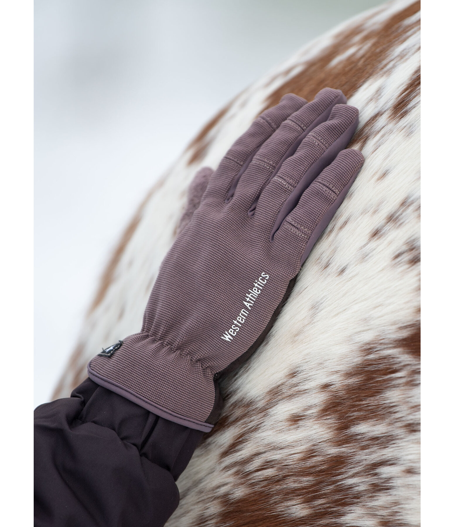 Winter Riding Gloves Omeo