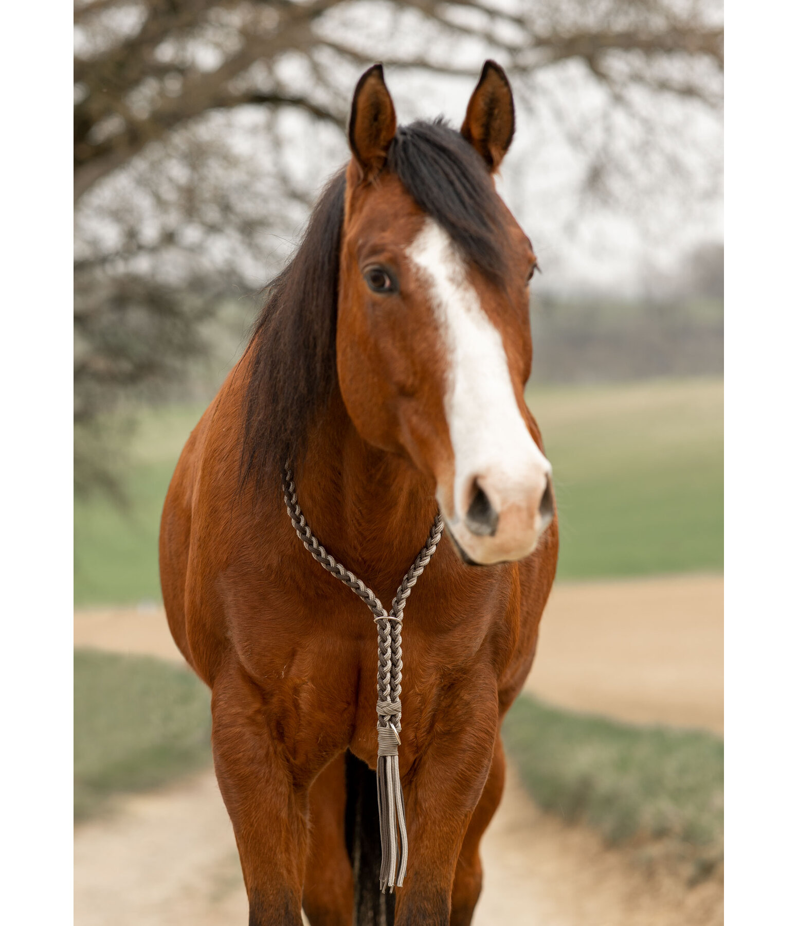 Braided Neck Ring Bonny