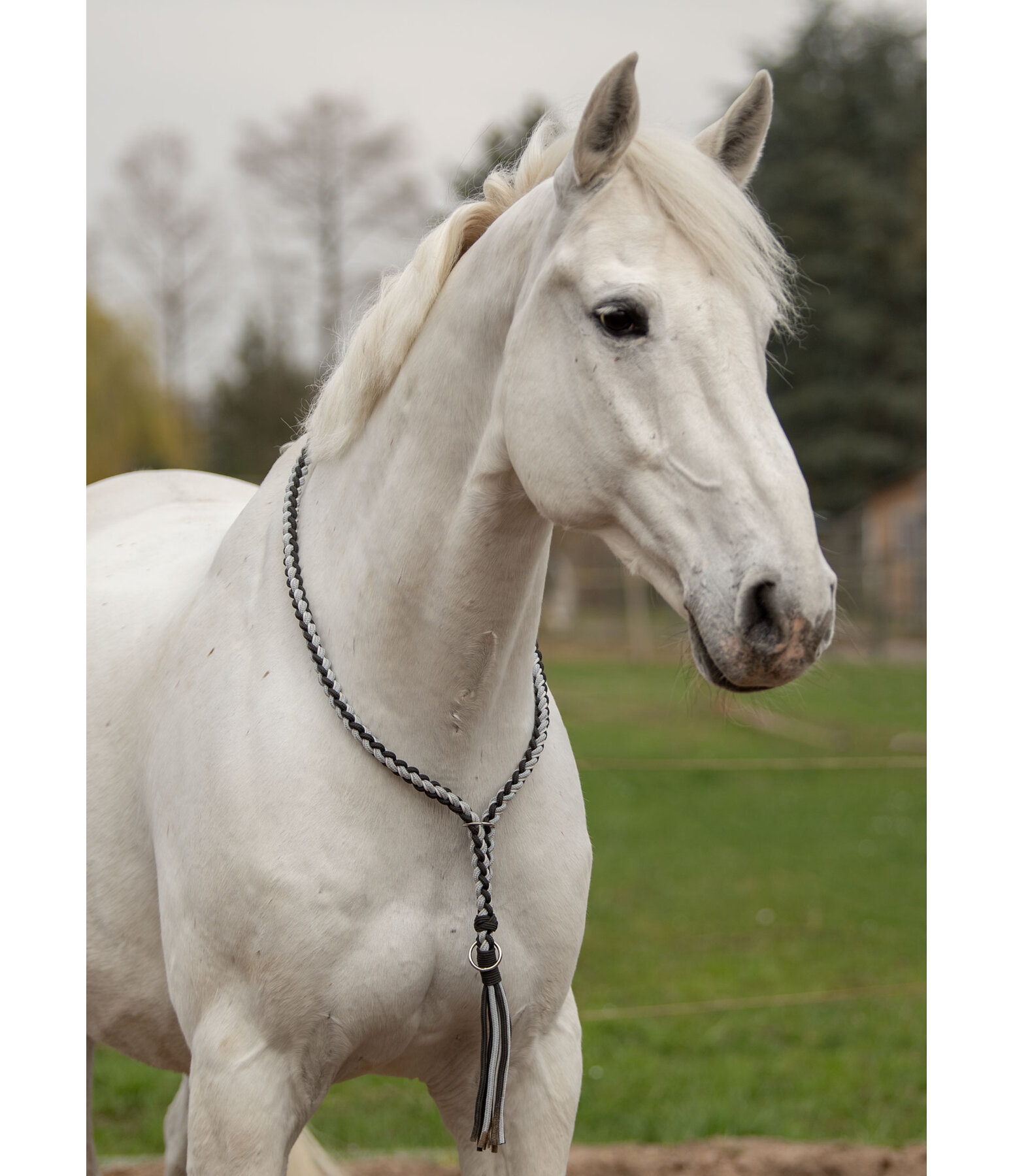 Braided Neck Ring Bonny