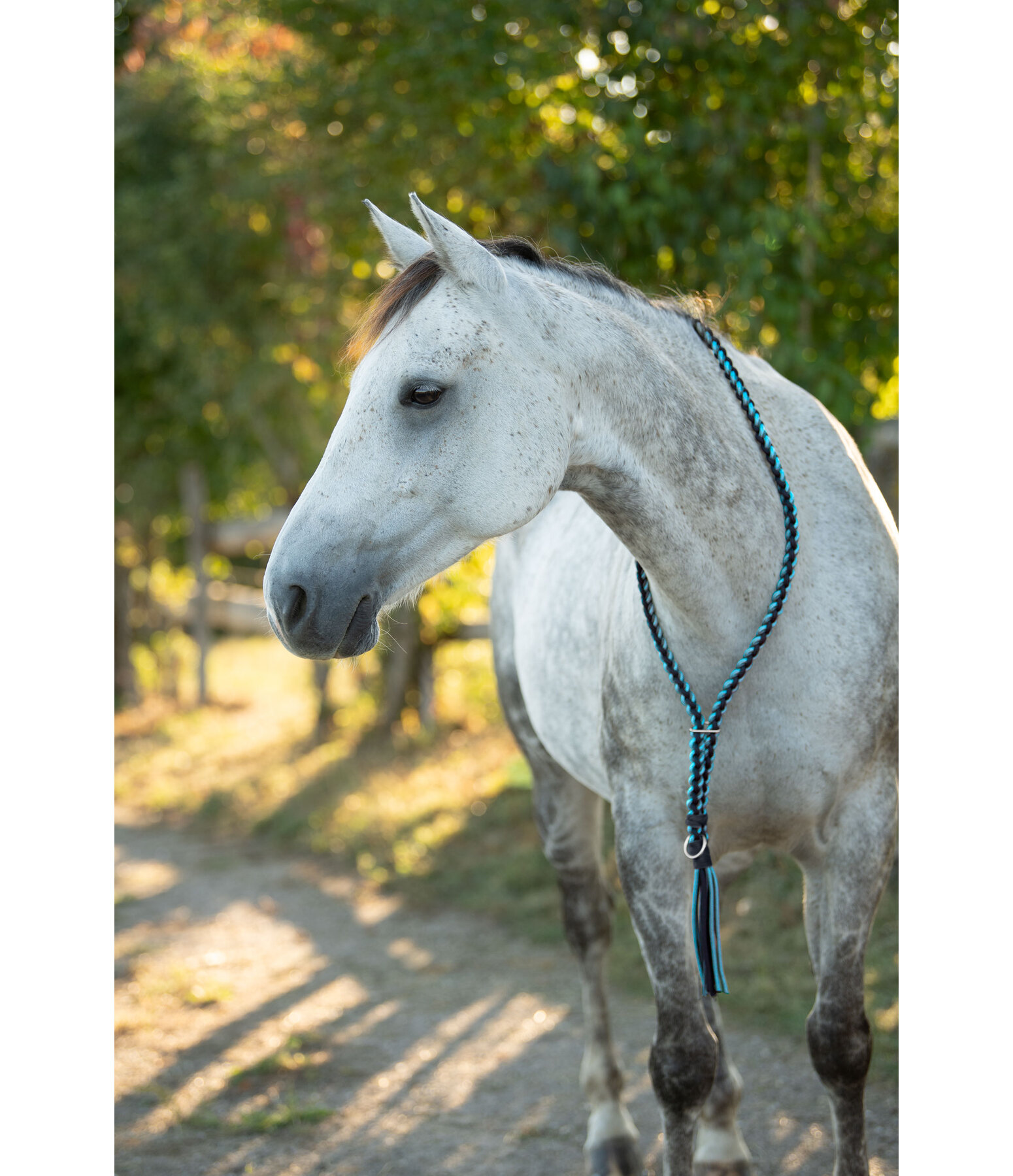 Braided Neck Ring Bonny