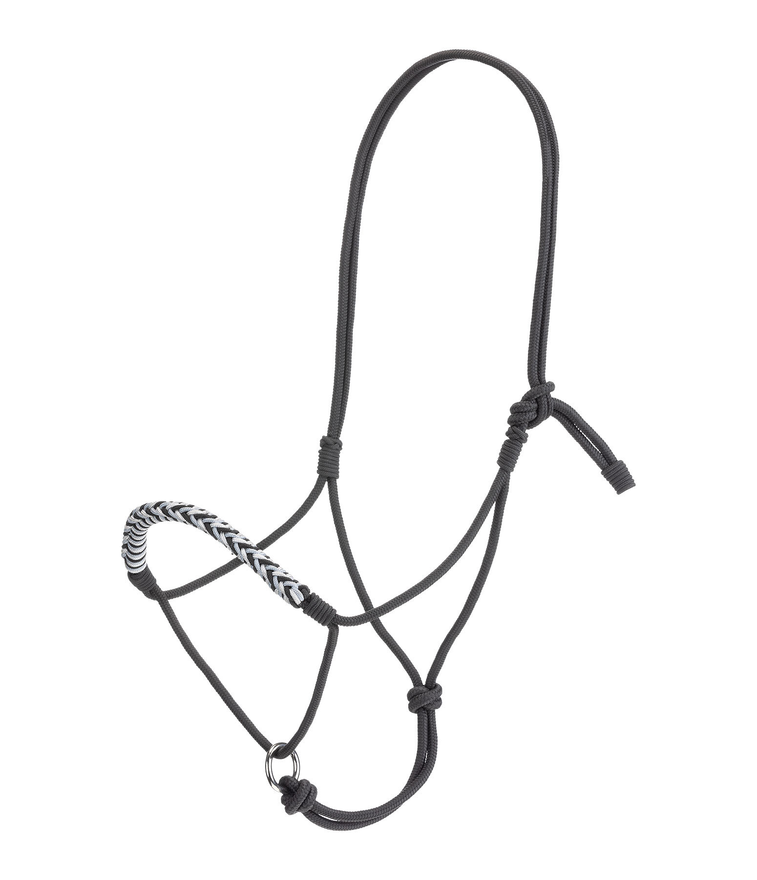 Knotless Rope Halter Bonny