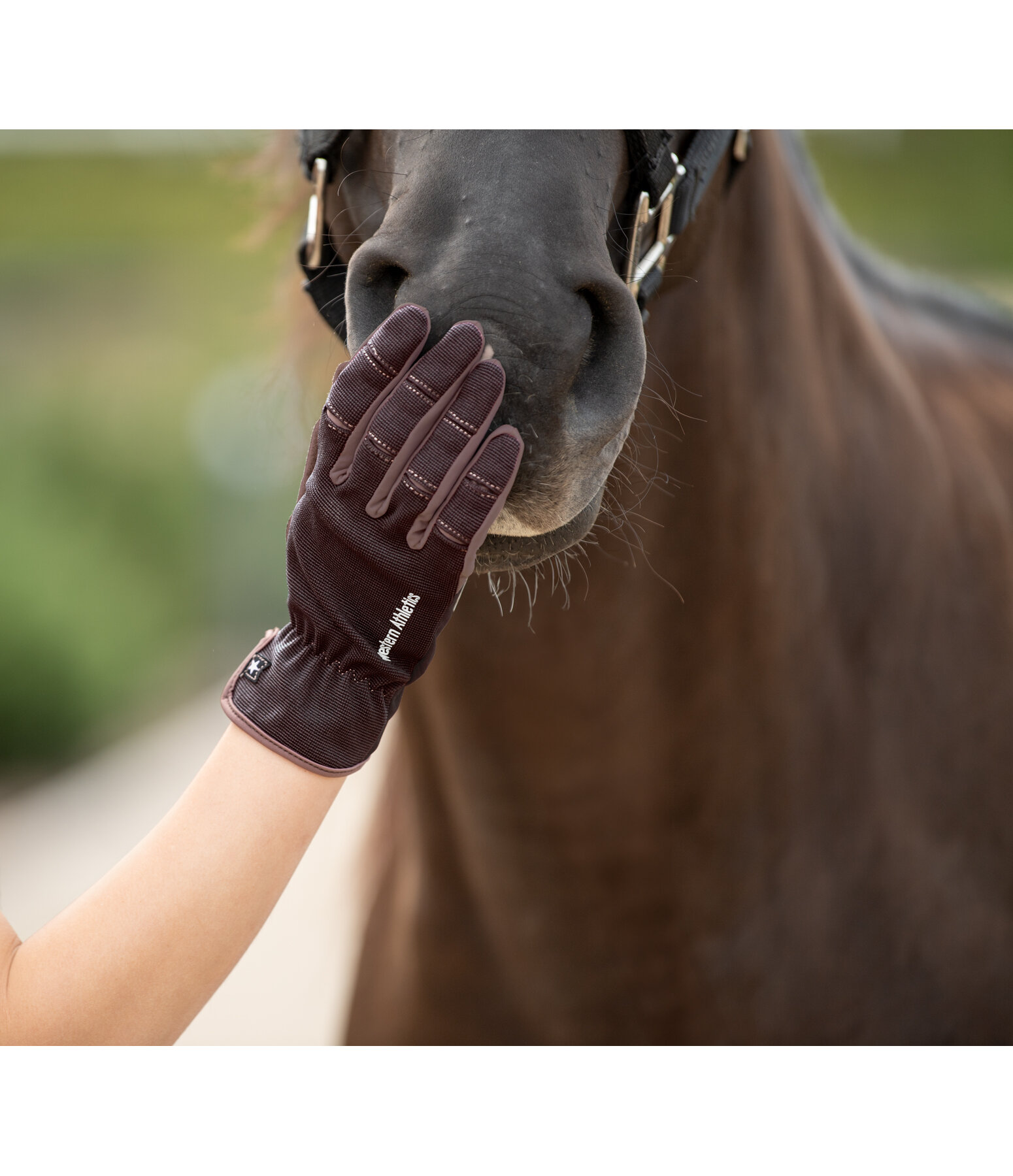 Summer Riding Gloves Omeo