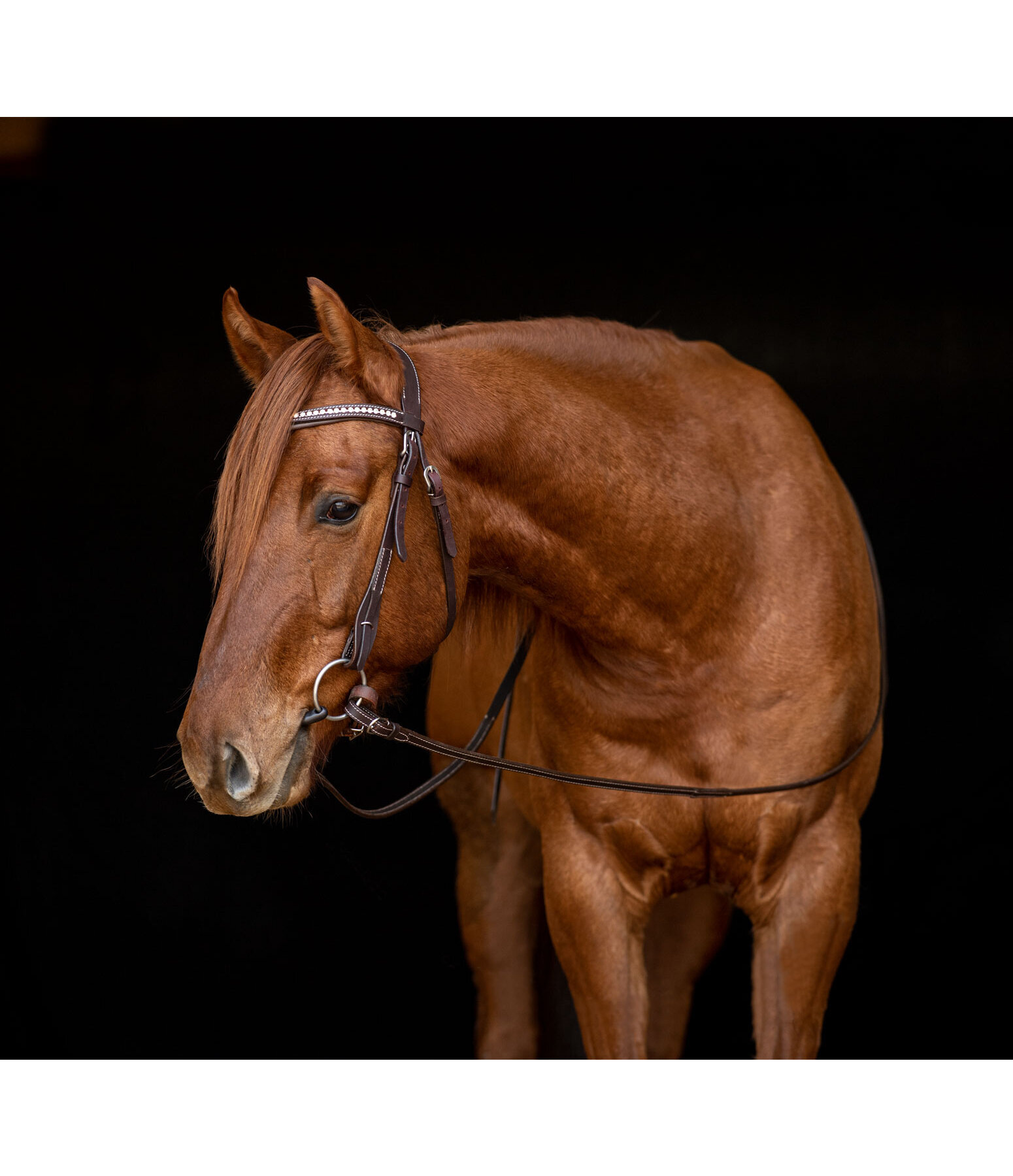 Mix & Match Western Reins Buckle End