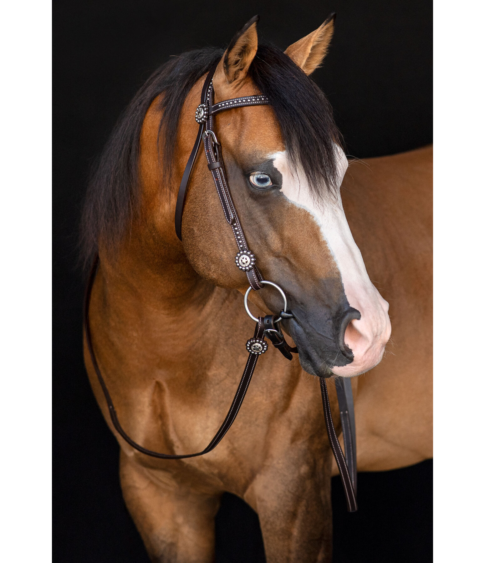 Western Headstall with Reins Stars