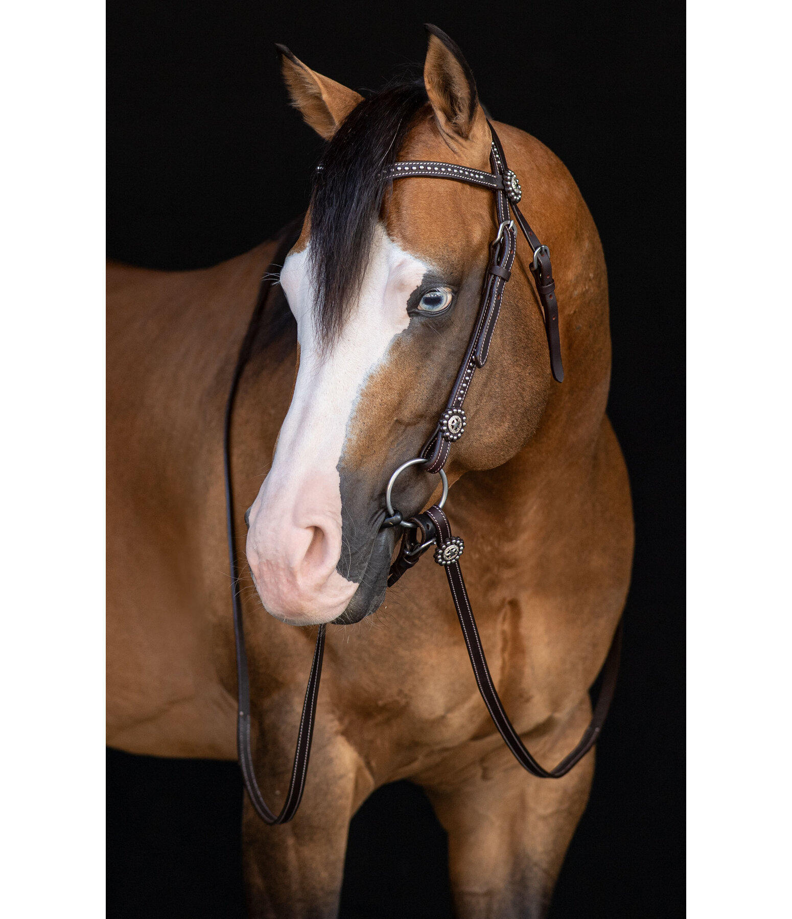 Western Headstall with Reins Stars