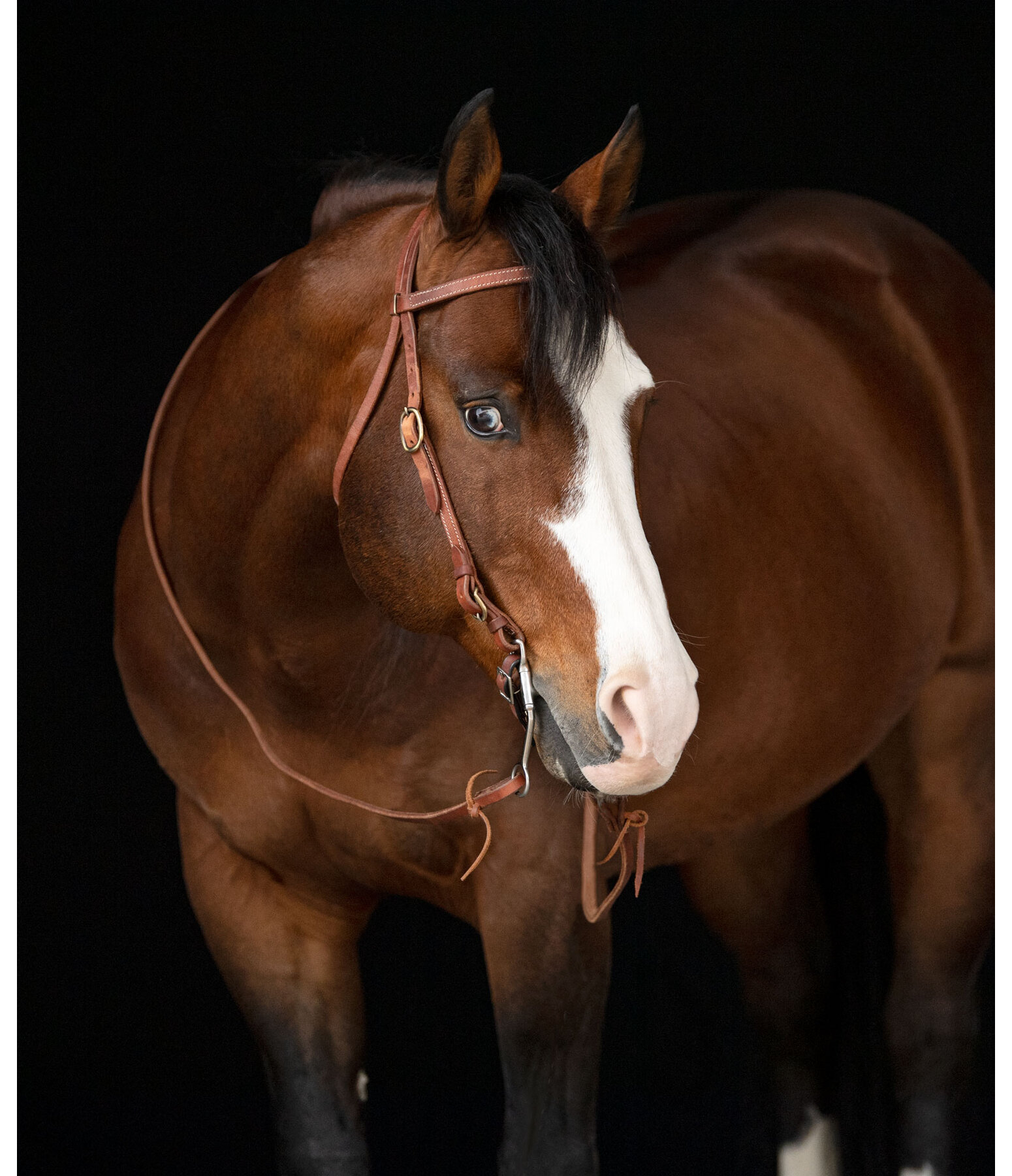 Working Headstall Buckle End