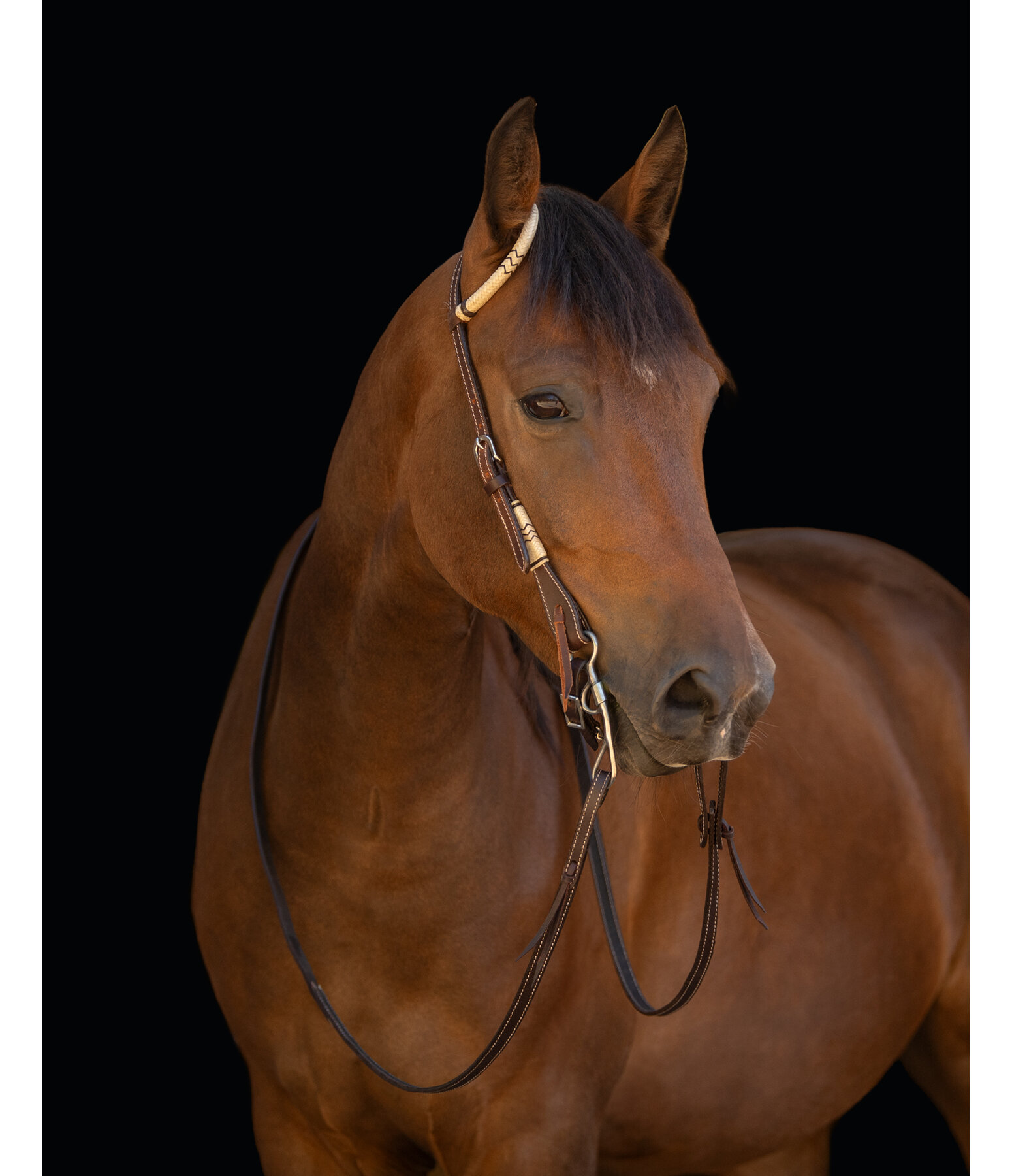 Single Ear Headstall Rawhide