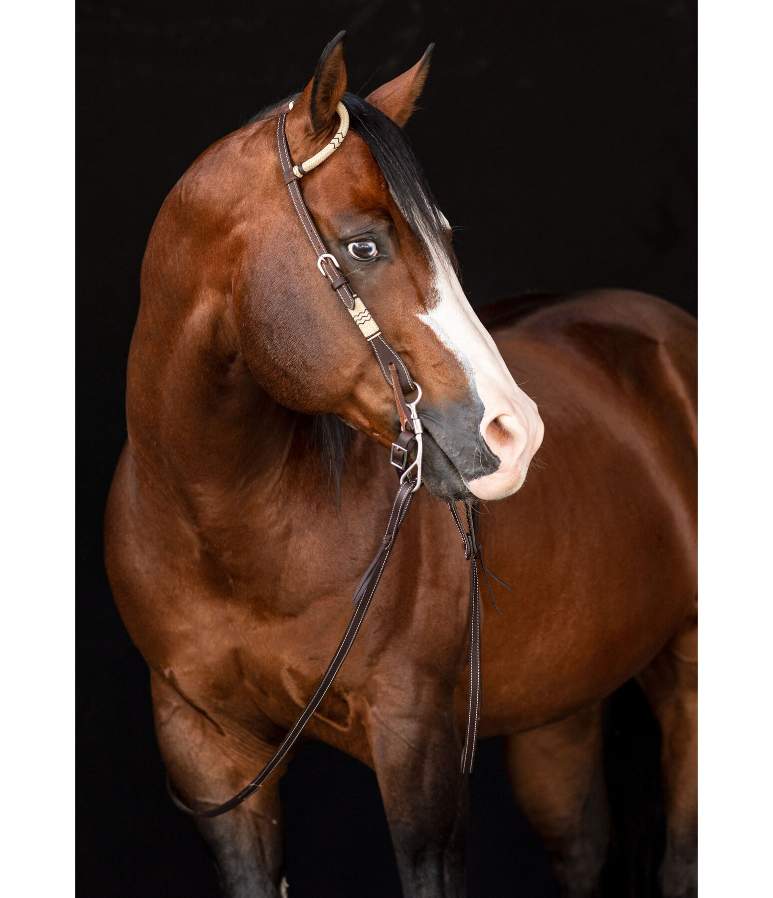 Single Ear Headstall Rawhide