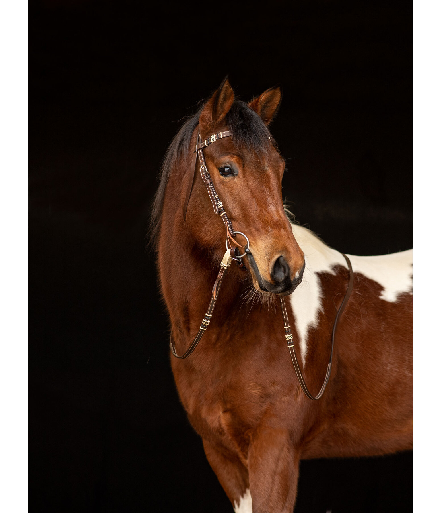 Western Headstall Rawhide