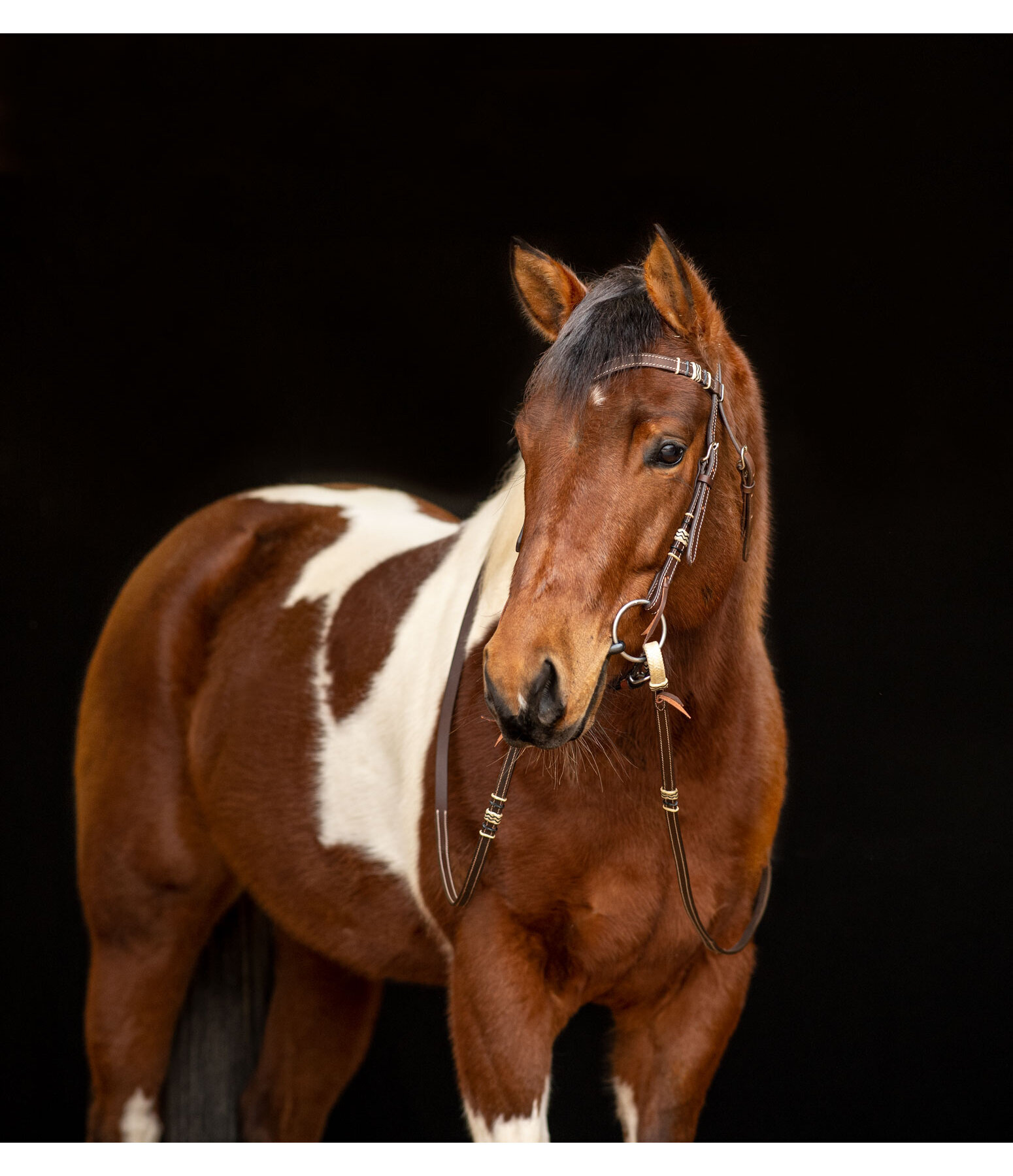 Western Headstall Rawhide