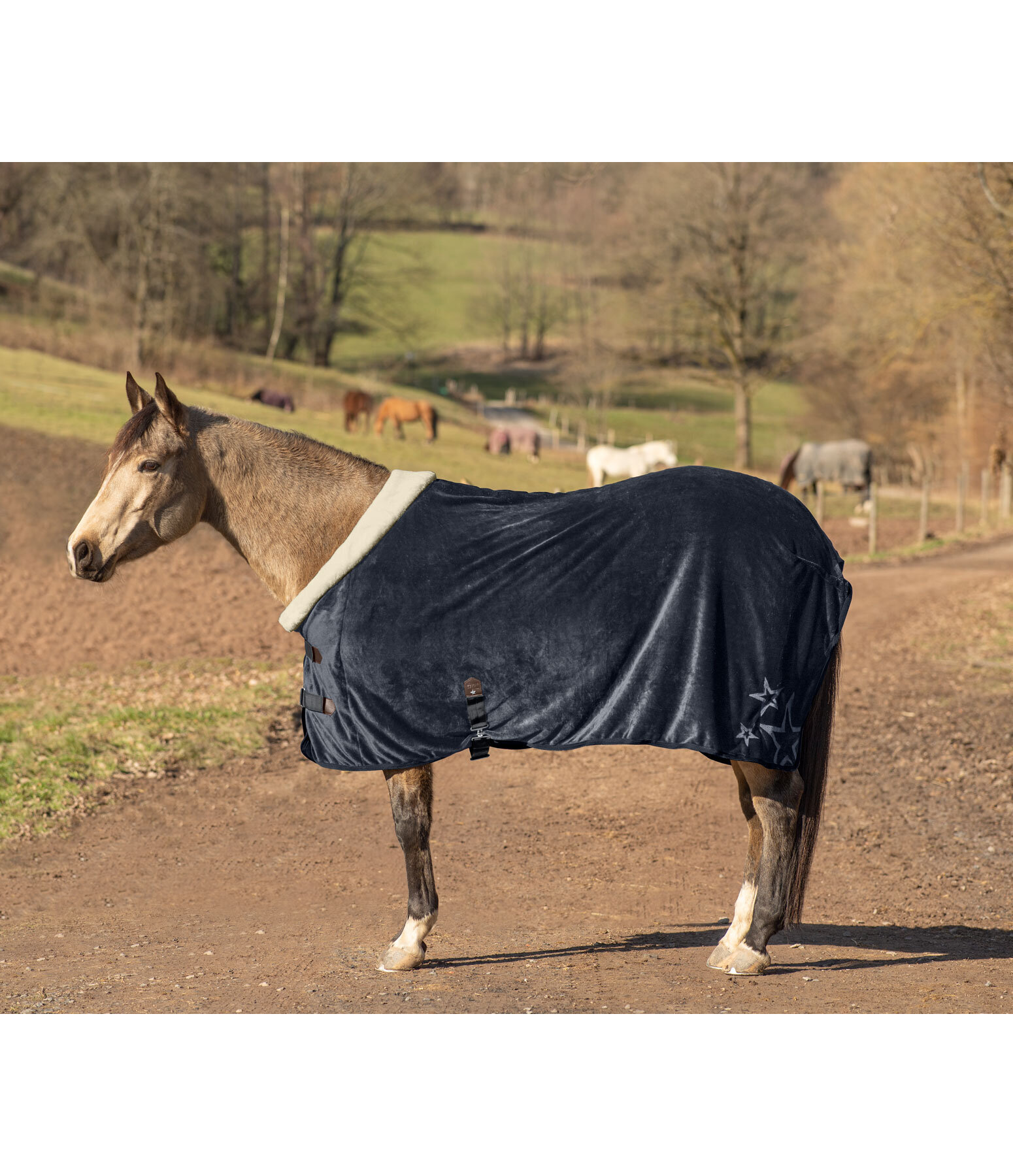 Soft Fleece Rug Wanda