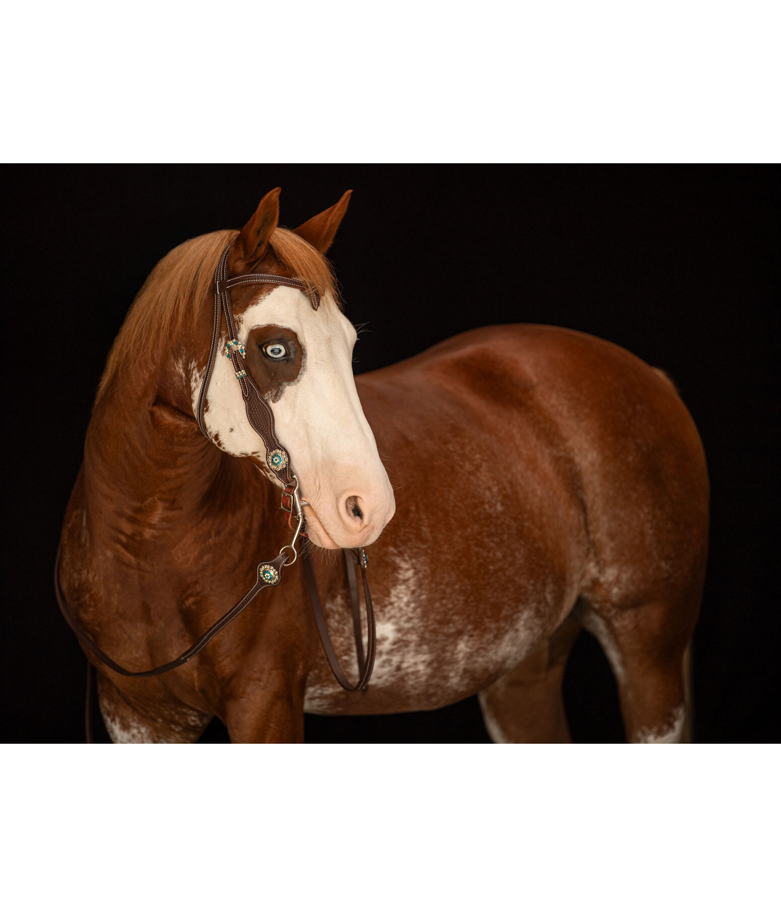 Headstall Crystal Dream