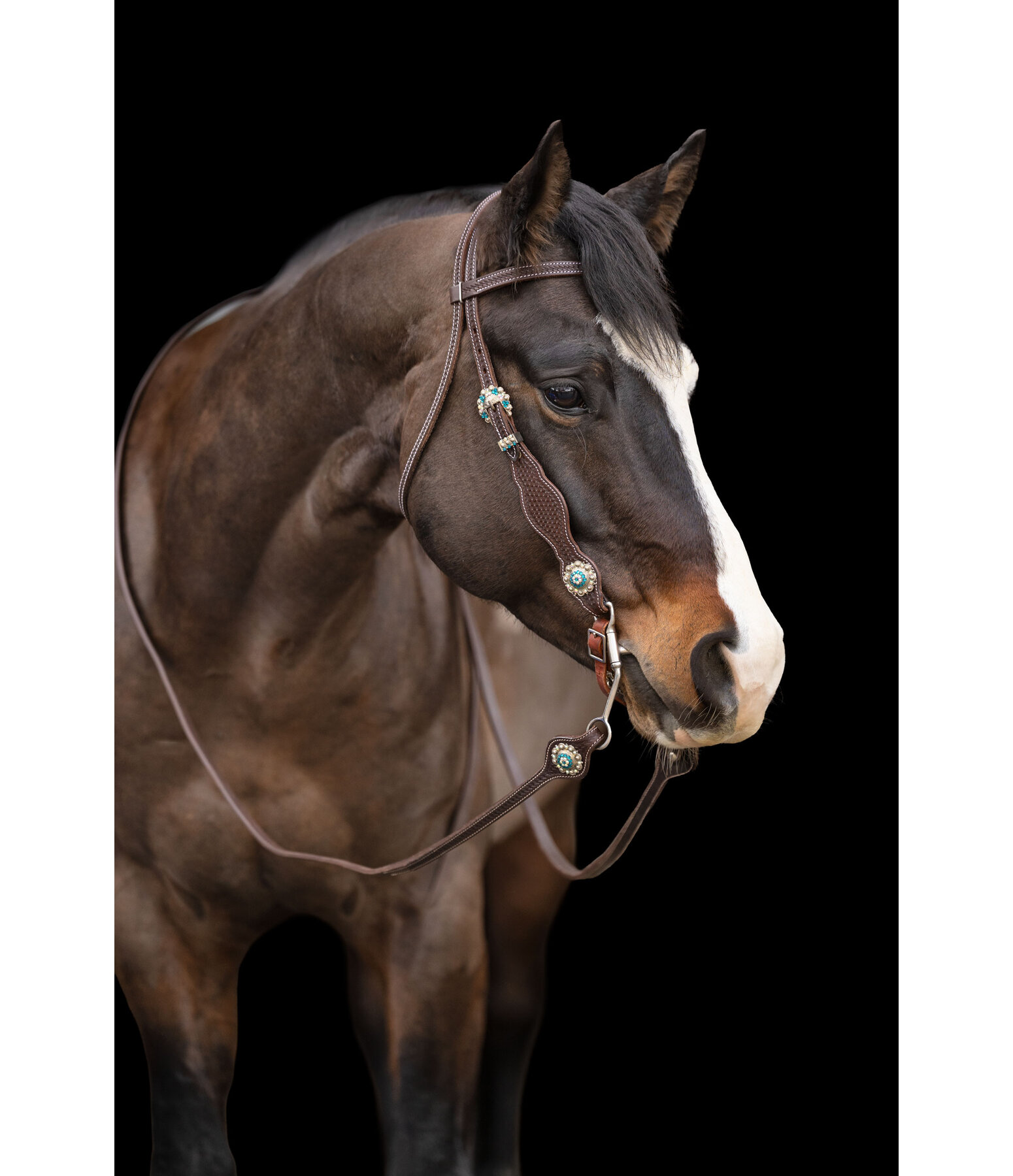 Headstall Crystal Dream